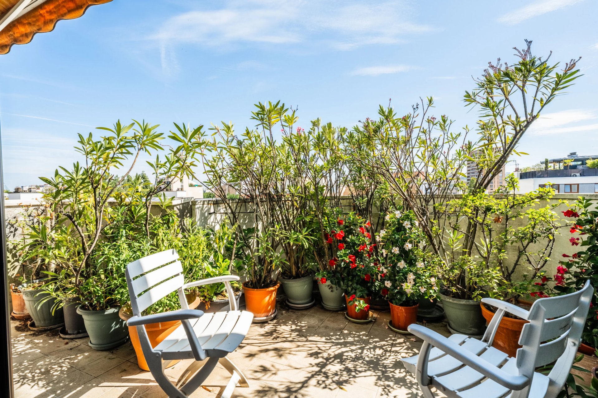 Property Slider Image