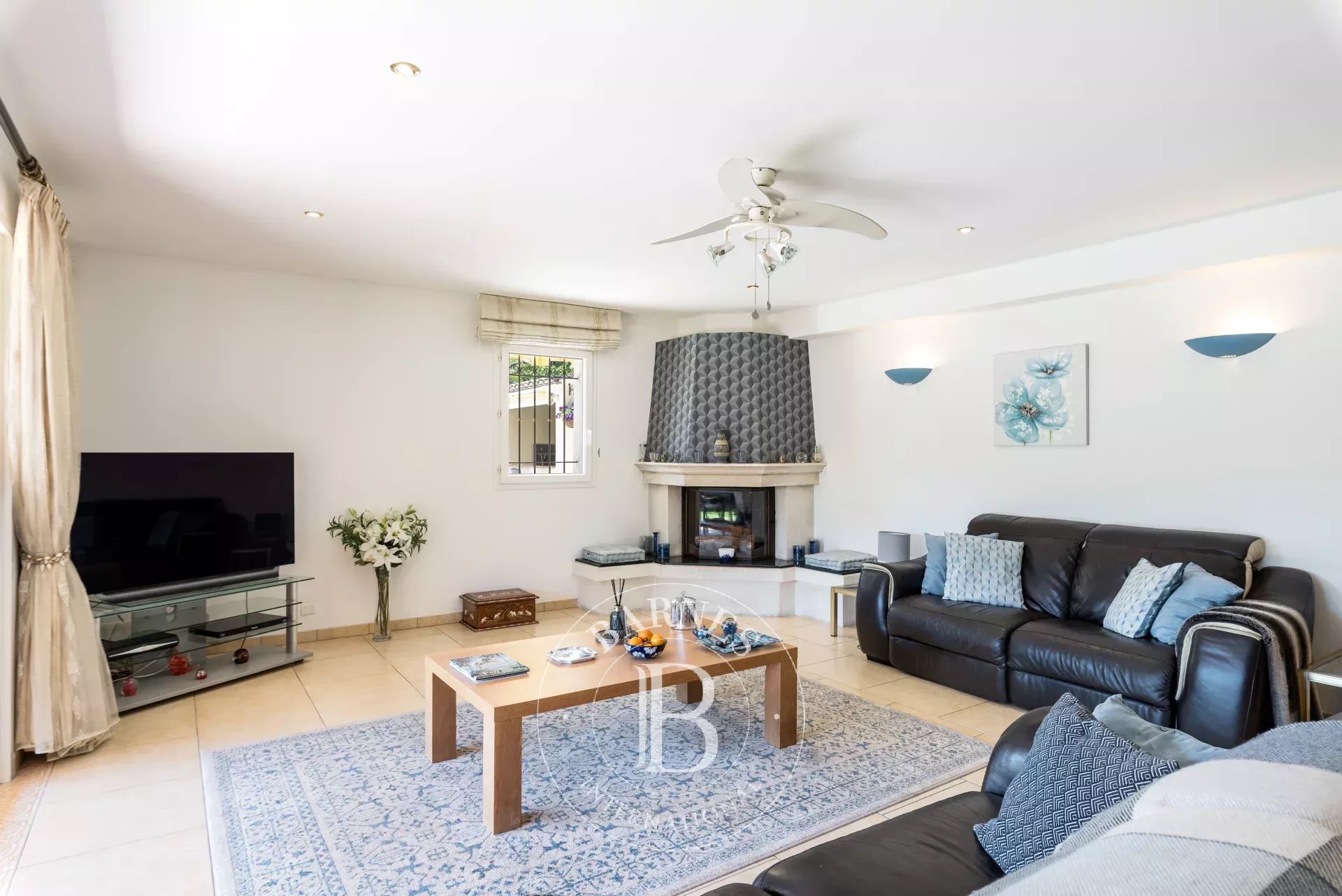 Villa Valbonne - picture 4