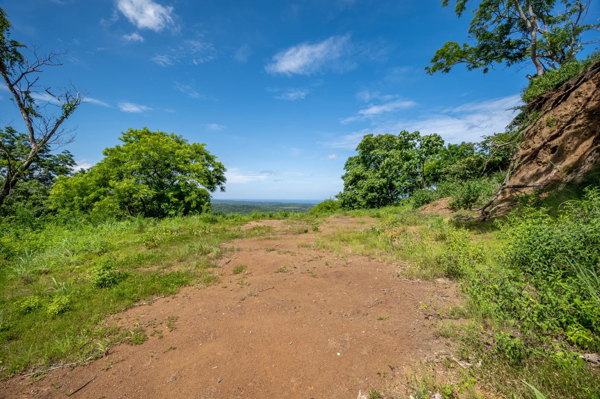 Venta Terreno Santa Cruz