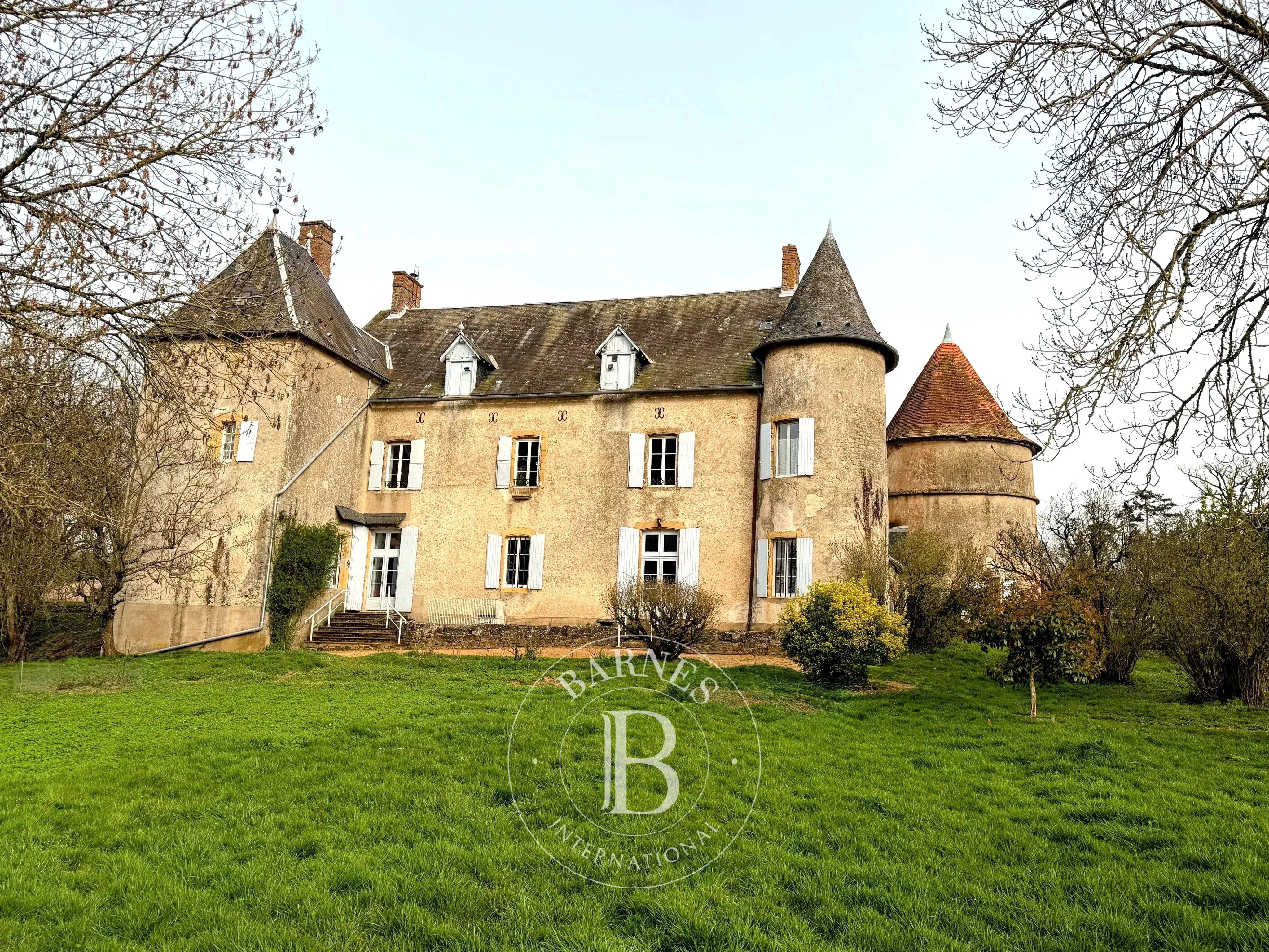 Château Saxi-Bourdon  -  ref 87113721 (picture 1)