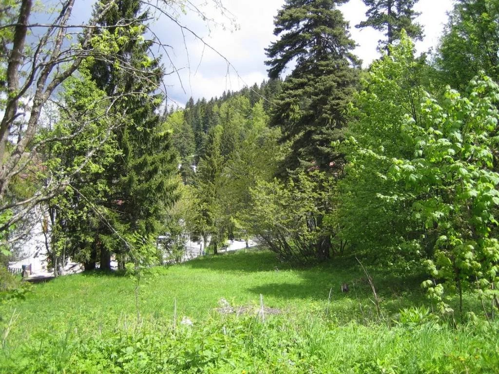 Terrain Constructible Peira Cava - Photo 4