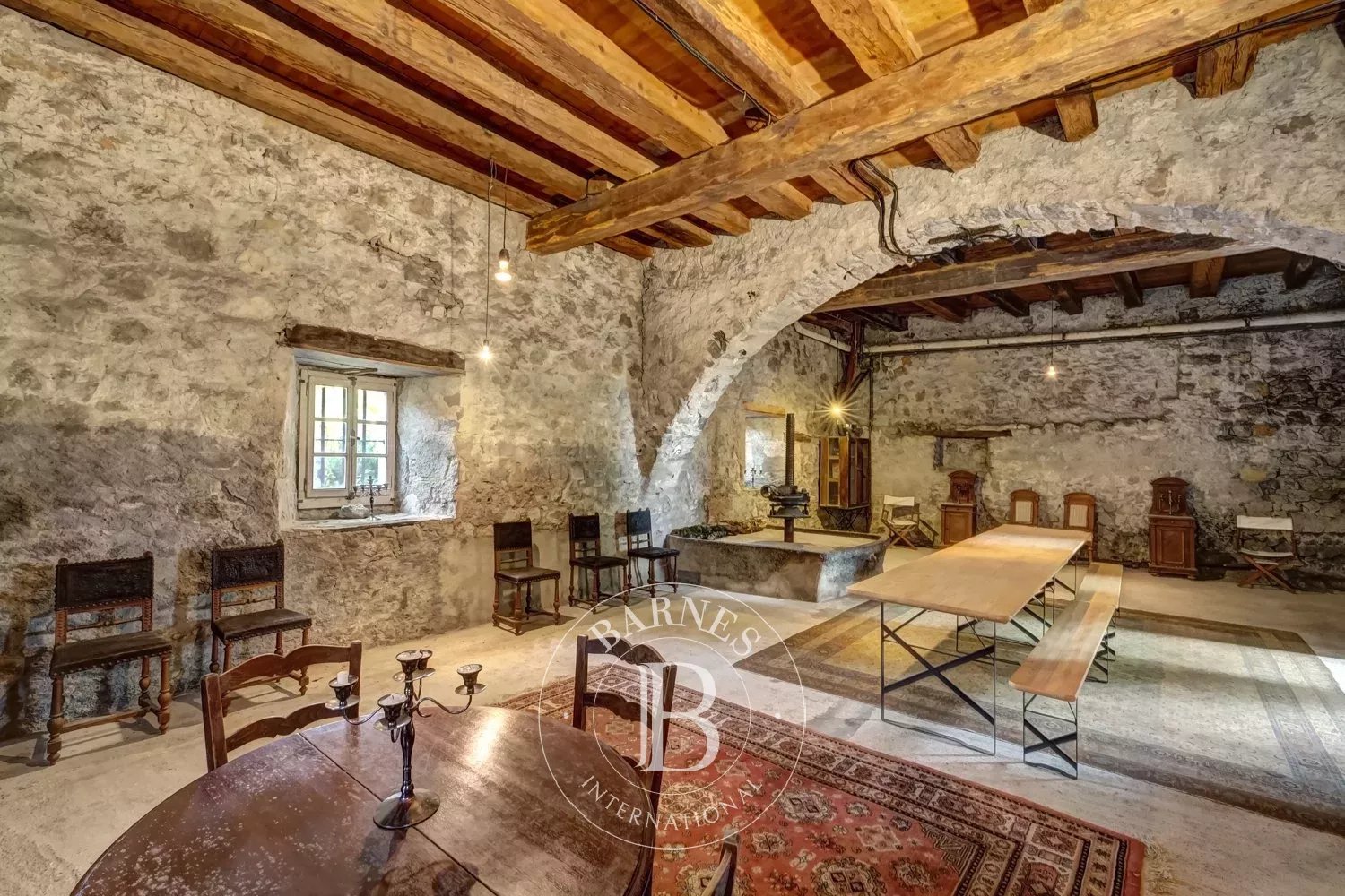 Saray Bonneville - picture 10