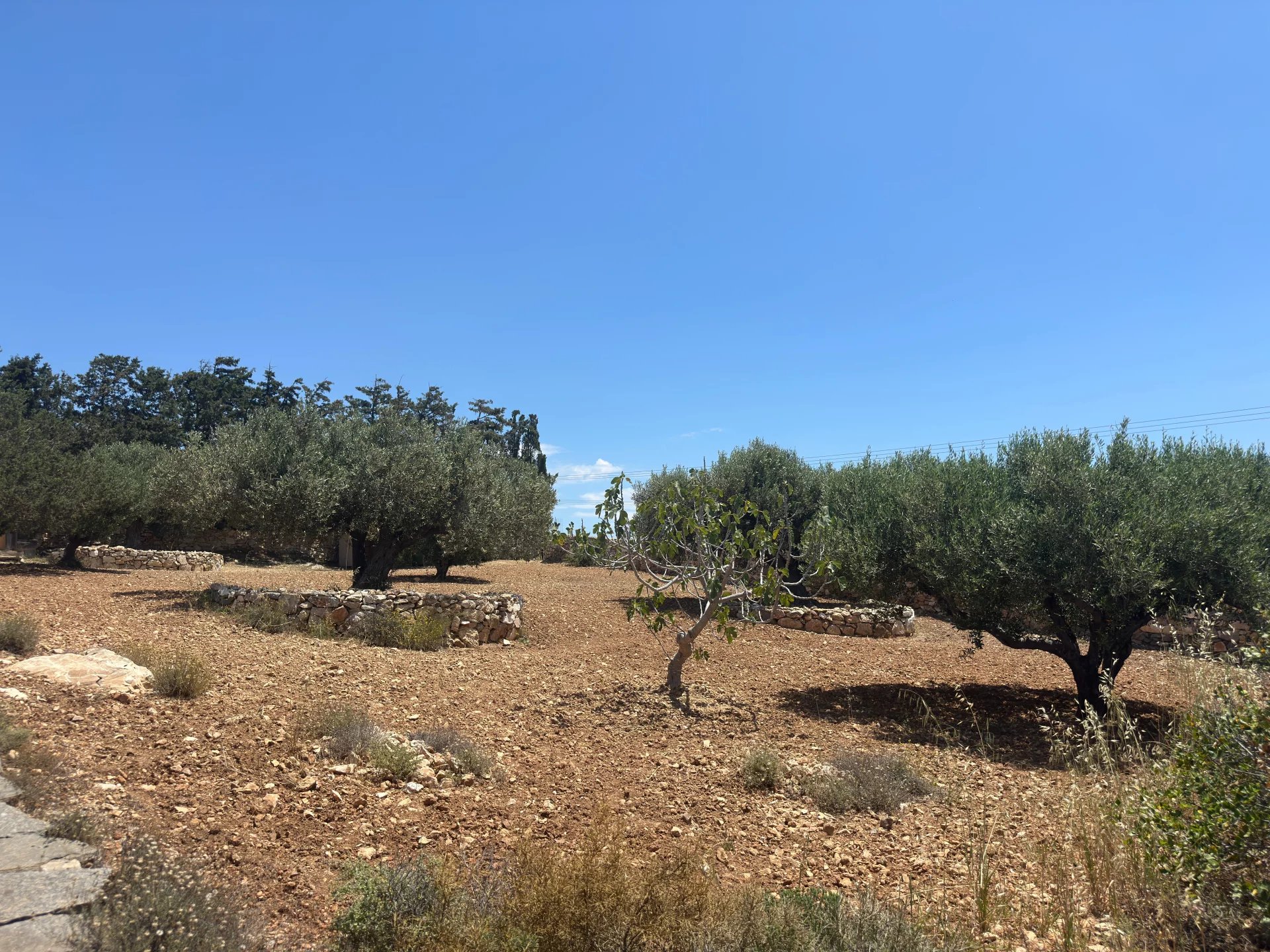 Εικόνα ιδιοκτησίας 89