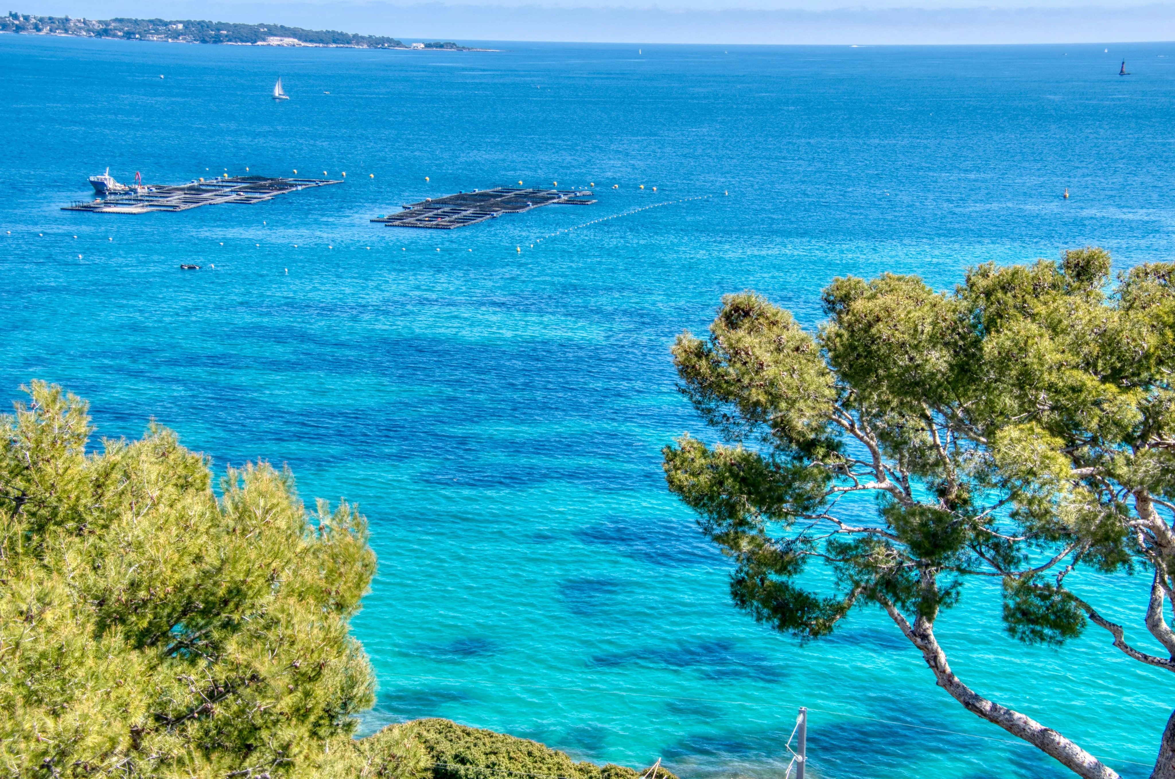 Dernier étage - Cannes Californie