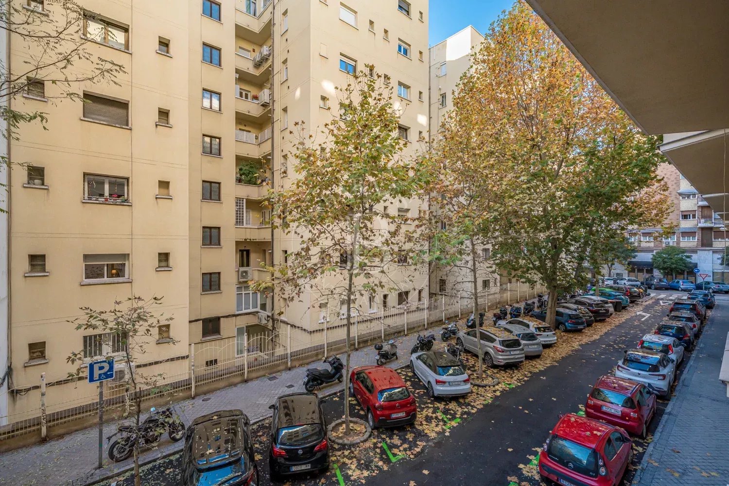 Daire Madrid - picture 31