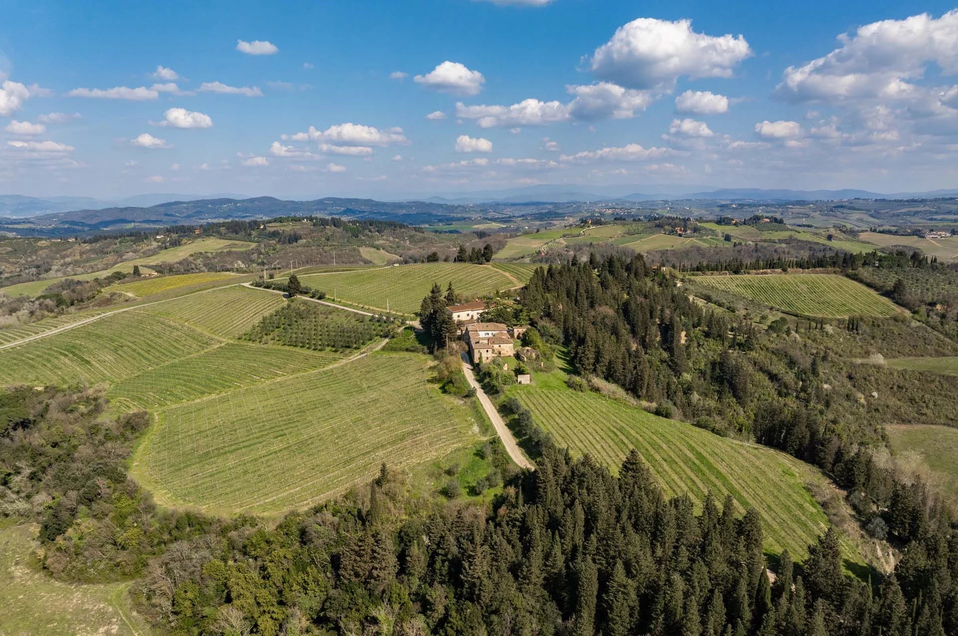 TENUTA VITIVINICOLA CON 40 HA DI VIGNETO IN VENDITA IN CHIANTI, TOSCANA