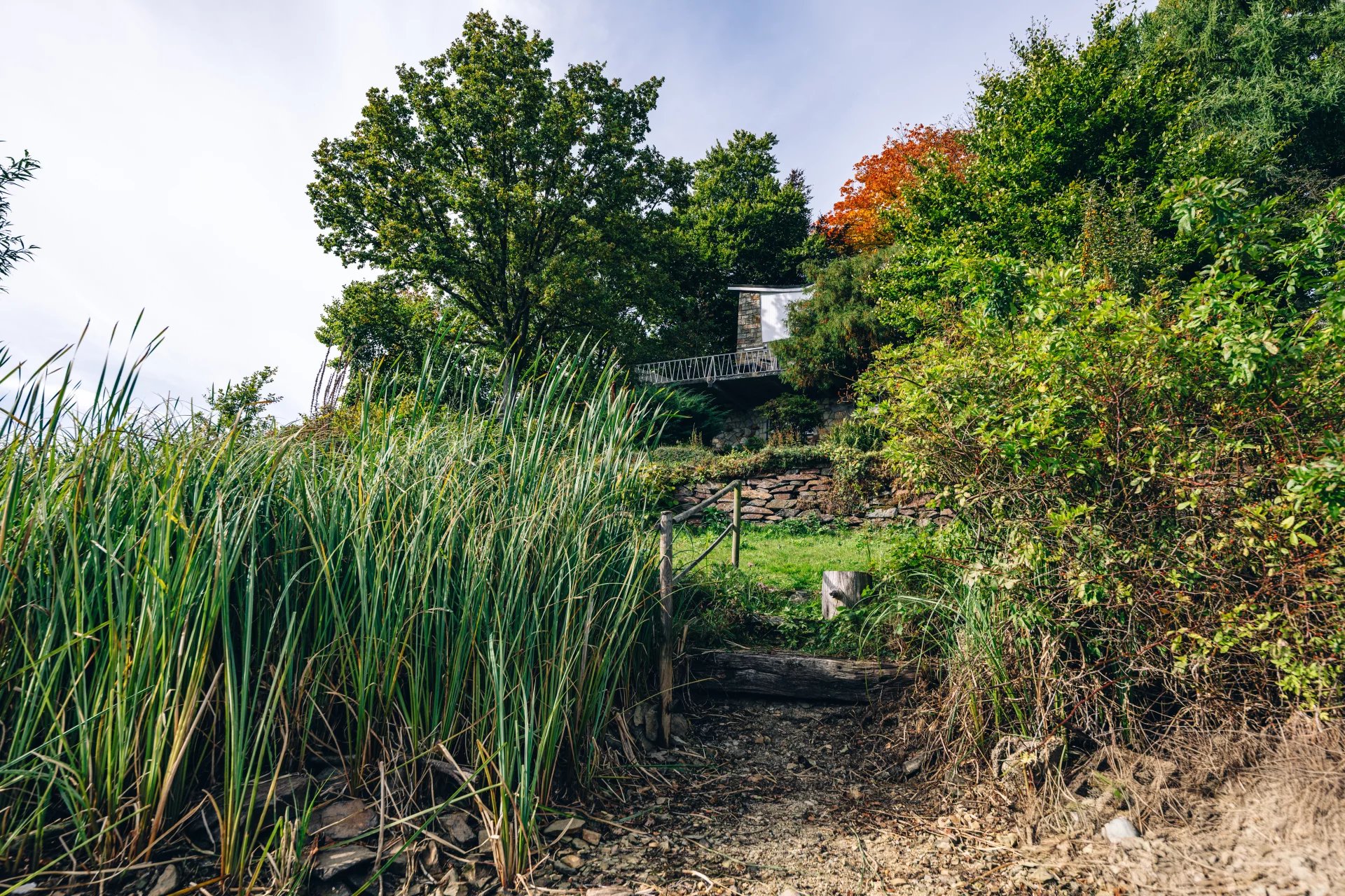 Ev Waimes - picture 16