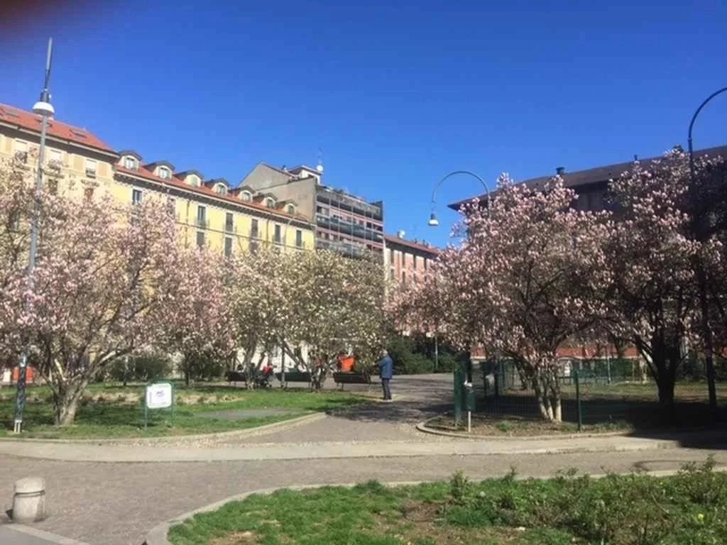 LUXURY APARTMENT IN PIAZZA TOMMASEO AND SANTA MARIA DELLE GRAZIE AREA