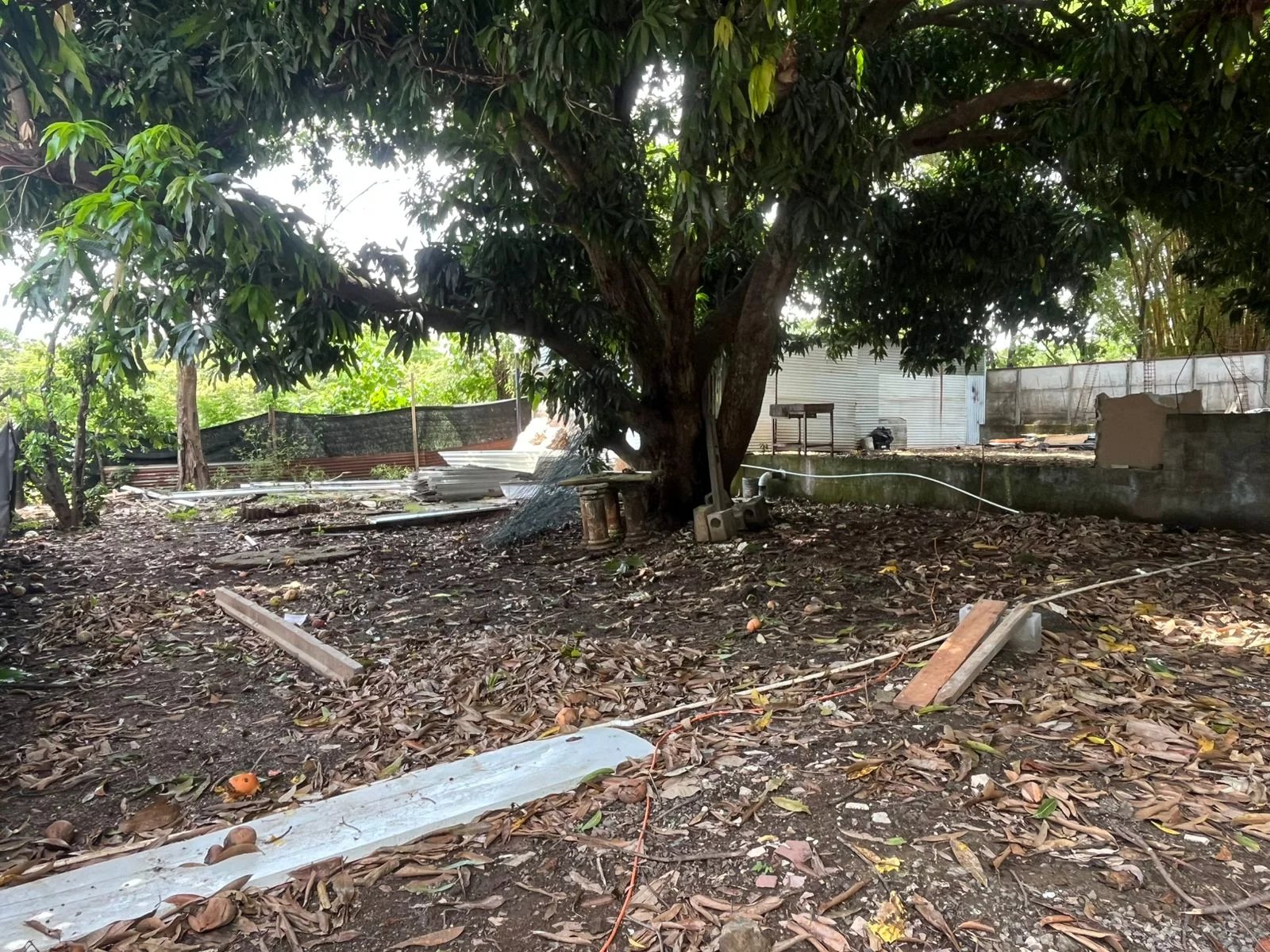 Vente Terrain Tamarindo