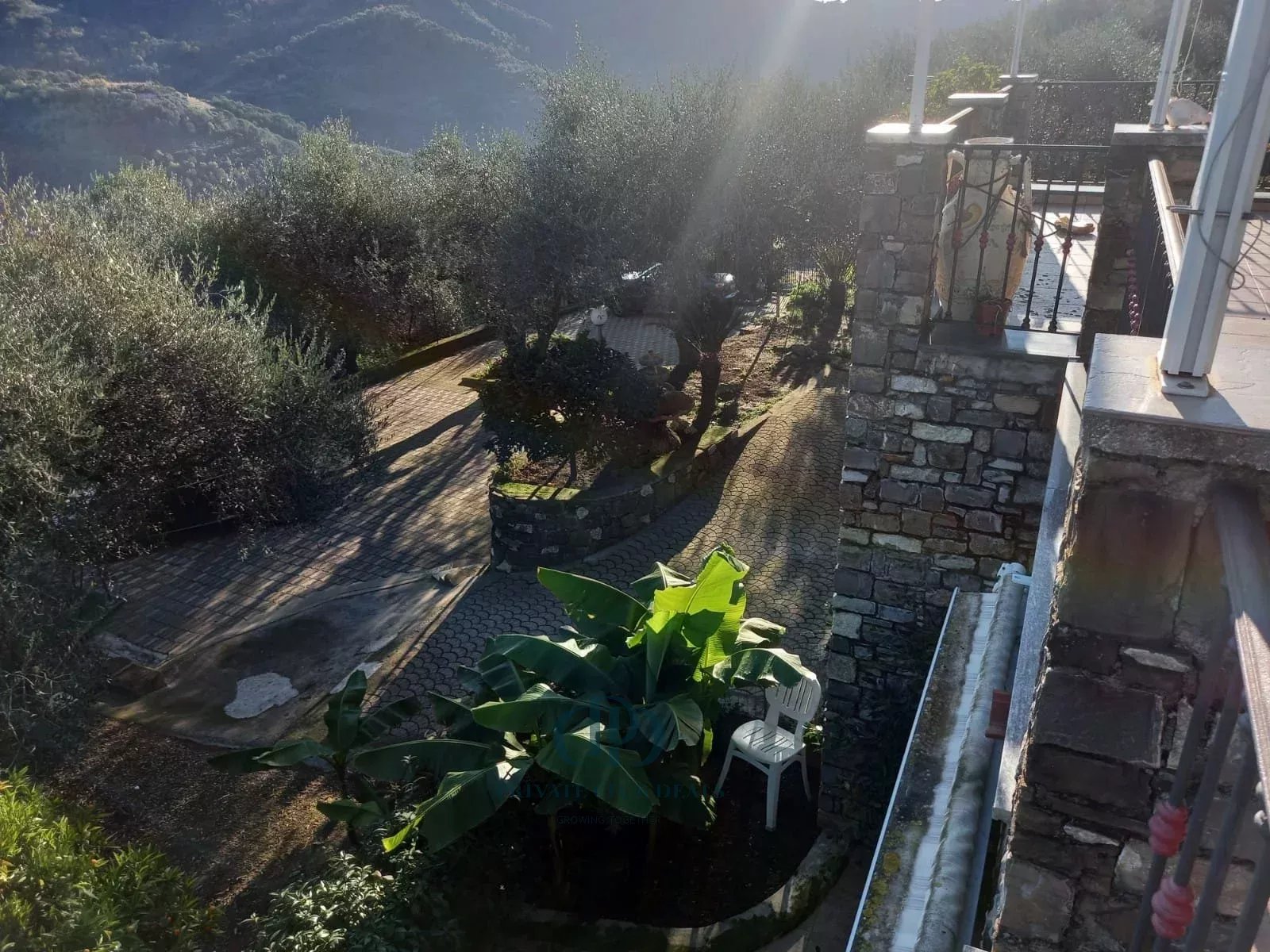 Villa Dolceacqua - picture 14