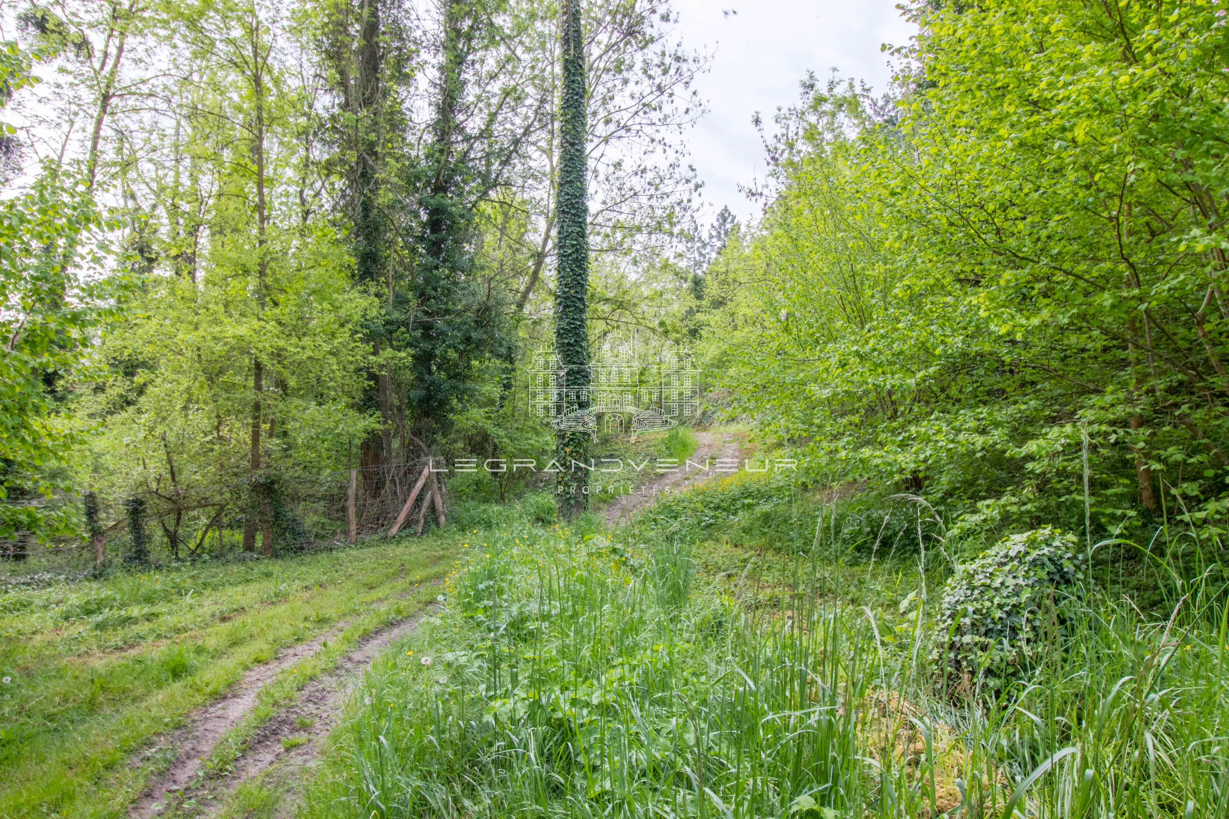 Sale House Vernou-la-Celle-sur-Seine