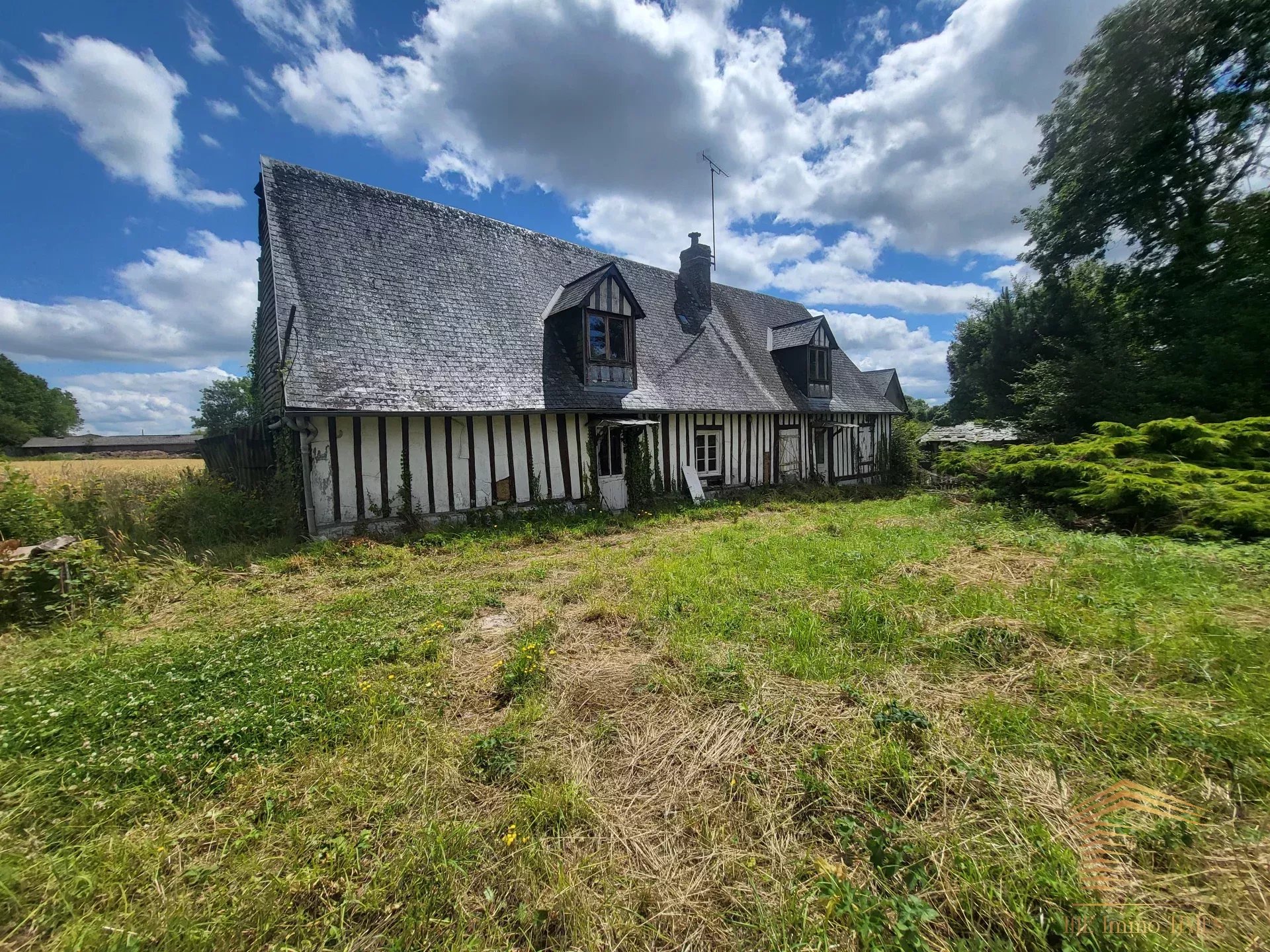 Agence immobilière de The Immo Times