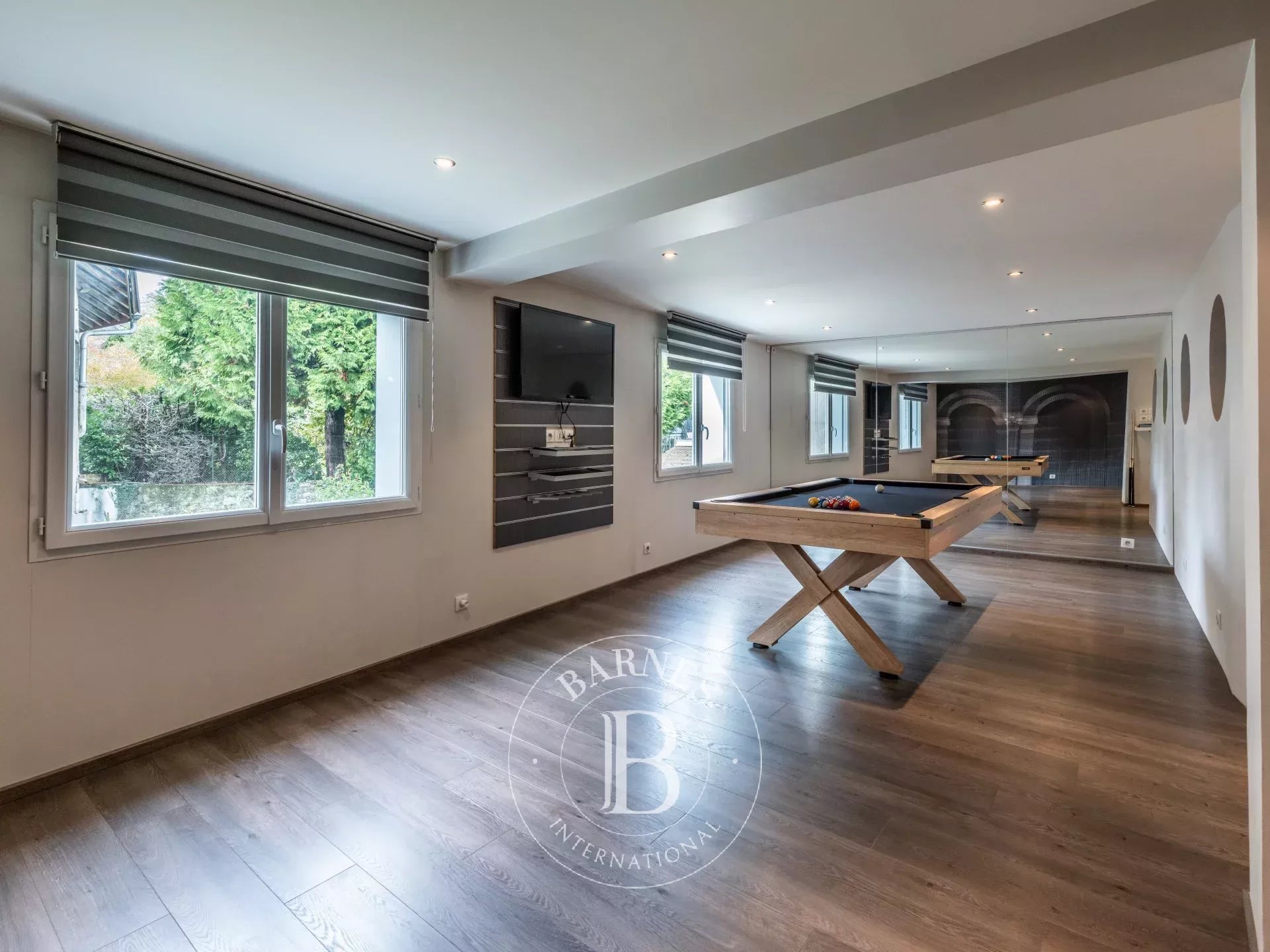 Loft Annecy - picture 17