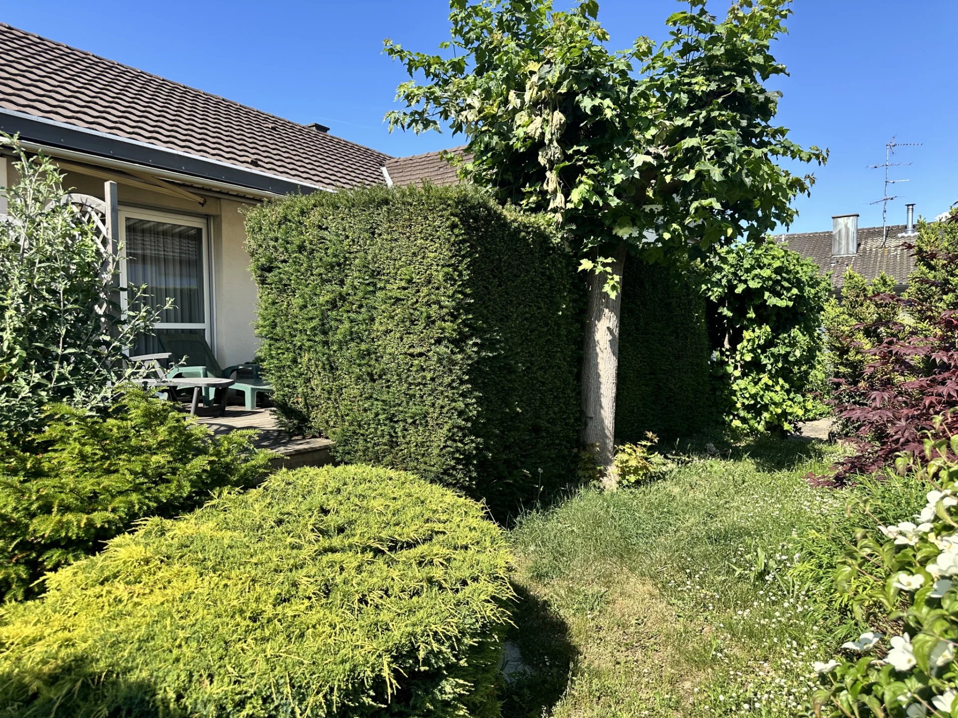 UNE EXCLUSIVITÉ DAGON IMMOBILIER !