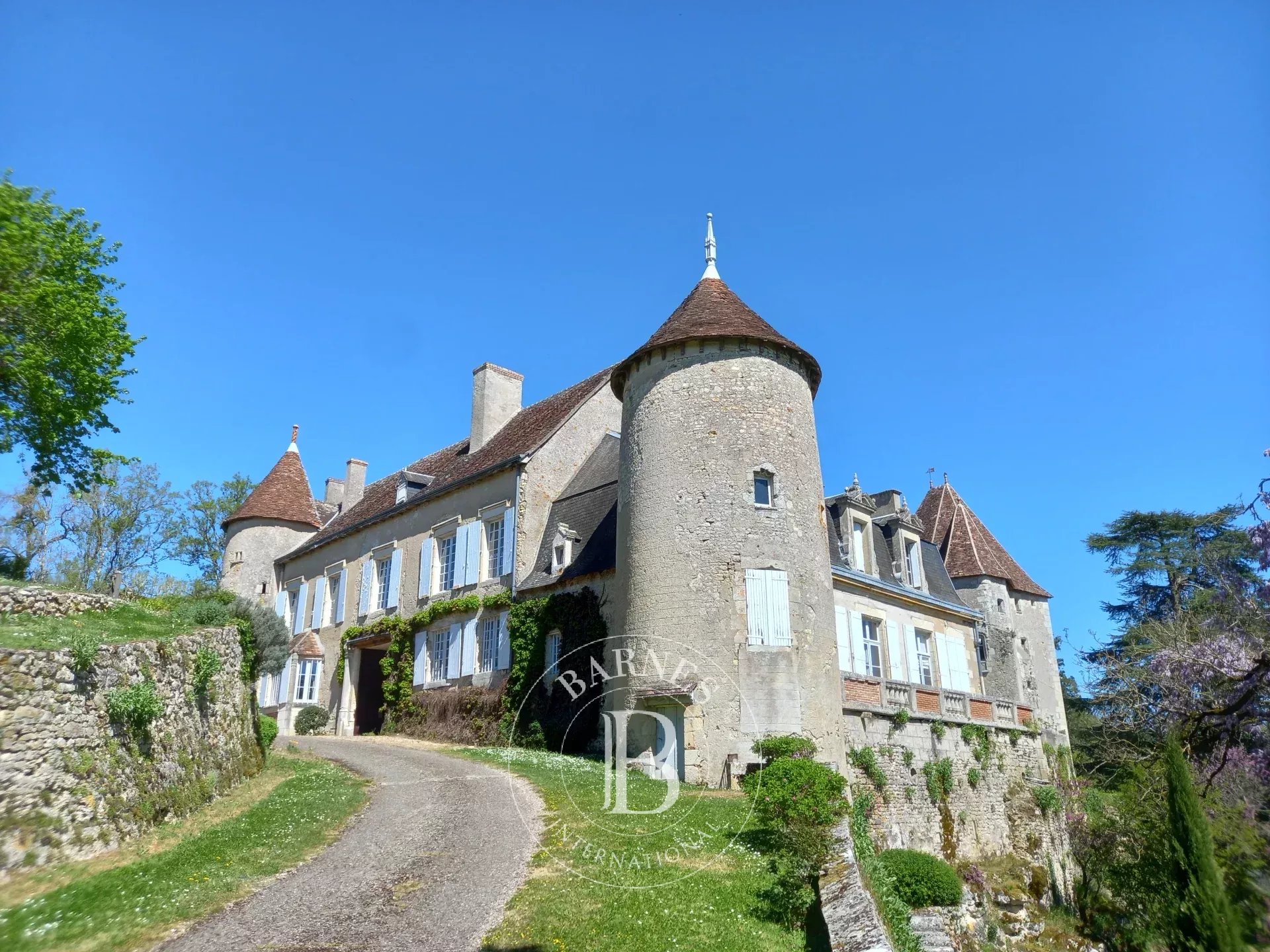 Châtellerault  - Château 9 Pi&egrave;ces 6 Chambres - picture 4