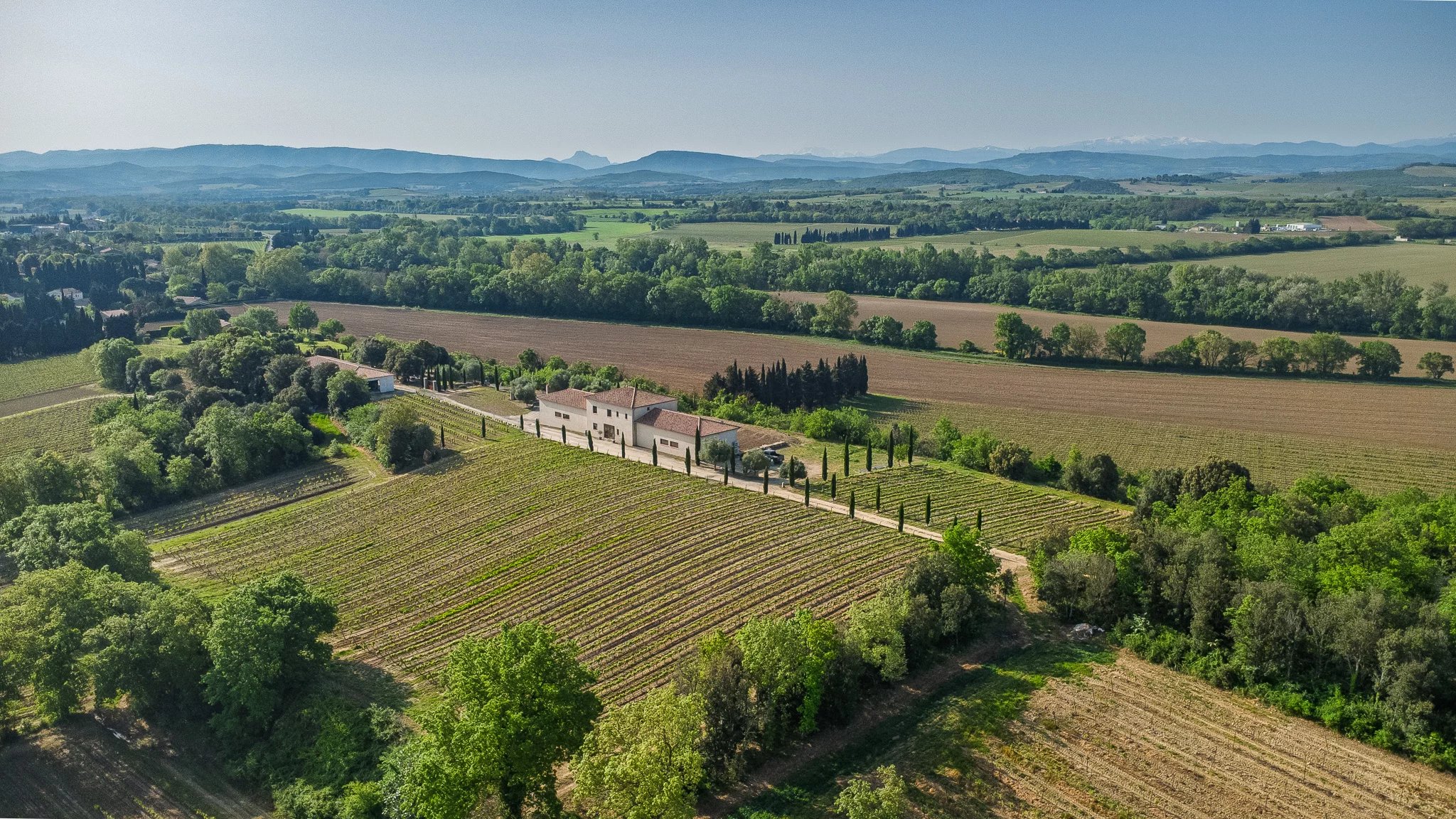 Propriété viticole à vendre Limoux, Aude