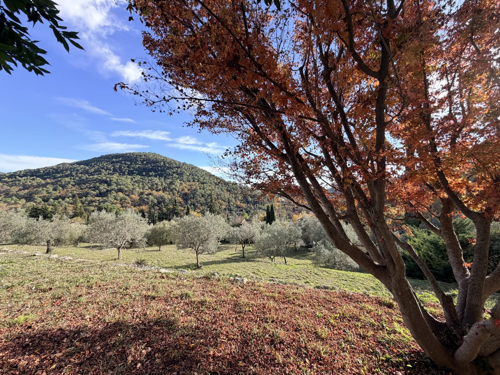 House with magnificent view walking distance to the village - Bargemon