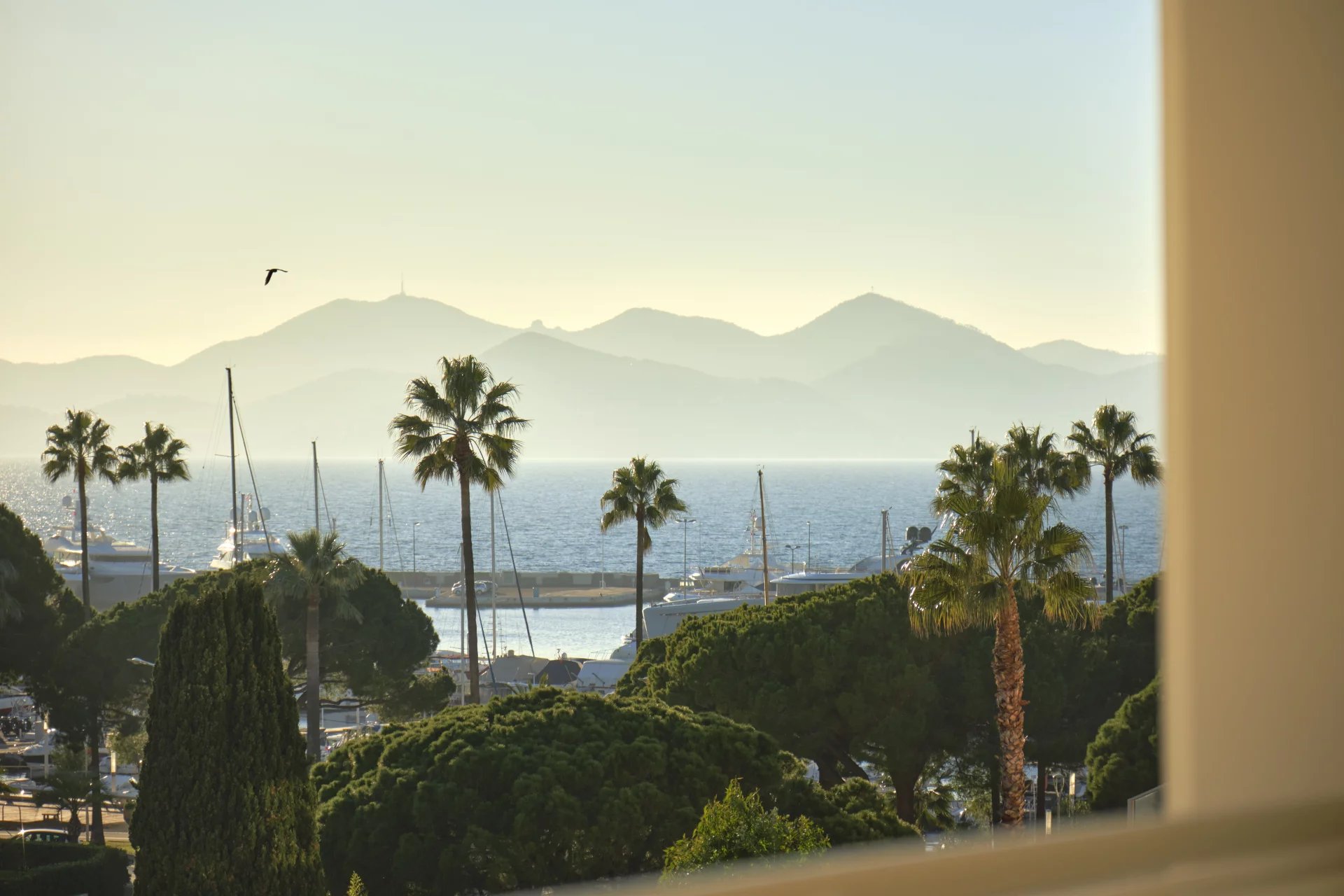 Sale Apartment Cannes Pointe Croisette