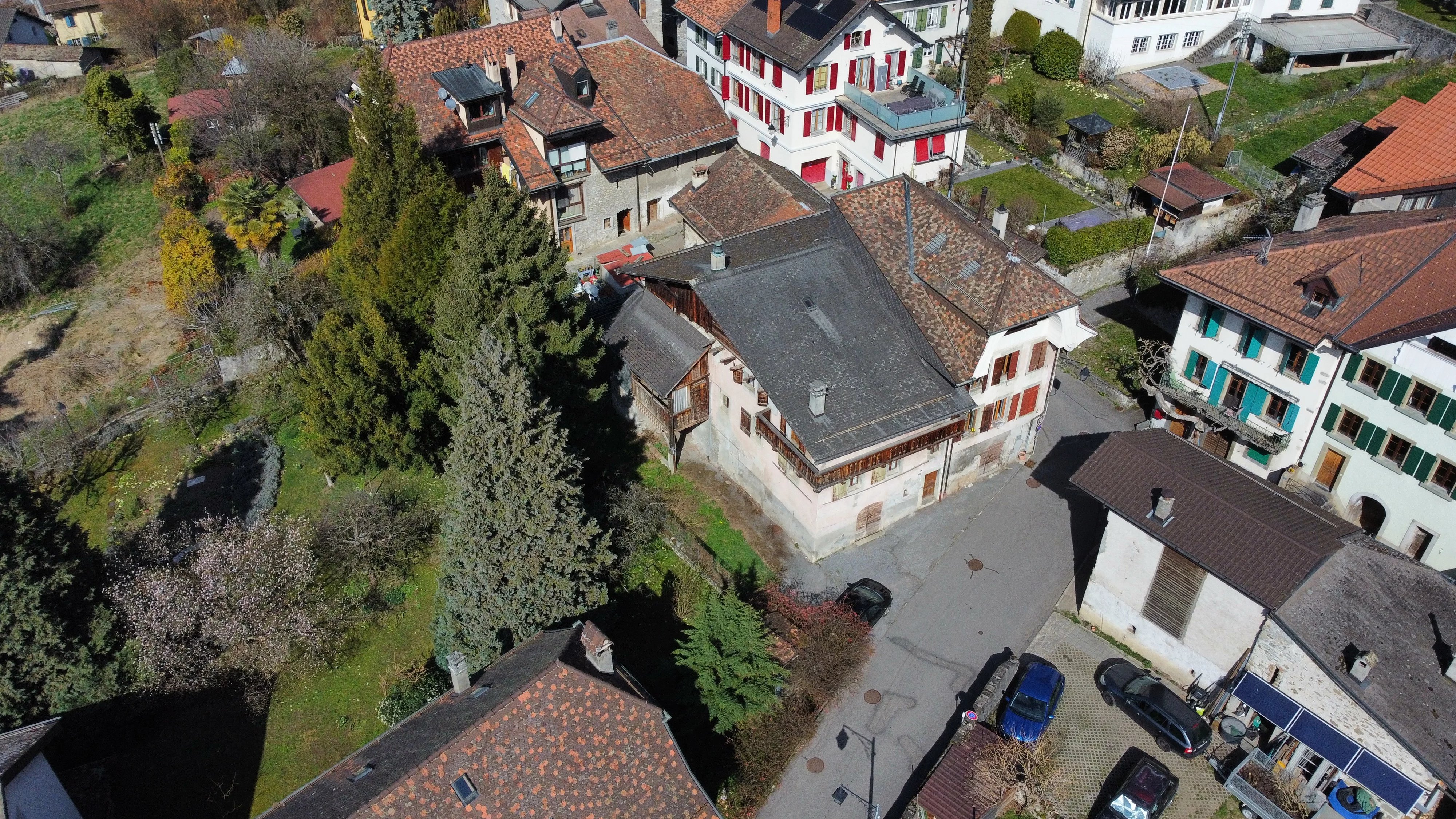 Maison à rénover dans environnement calme