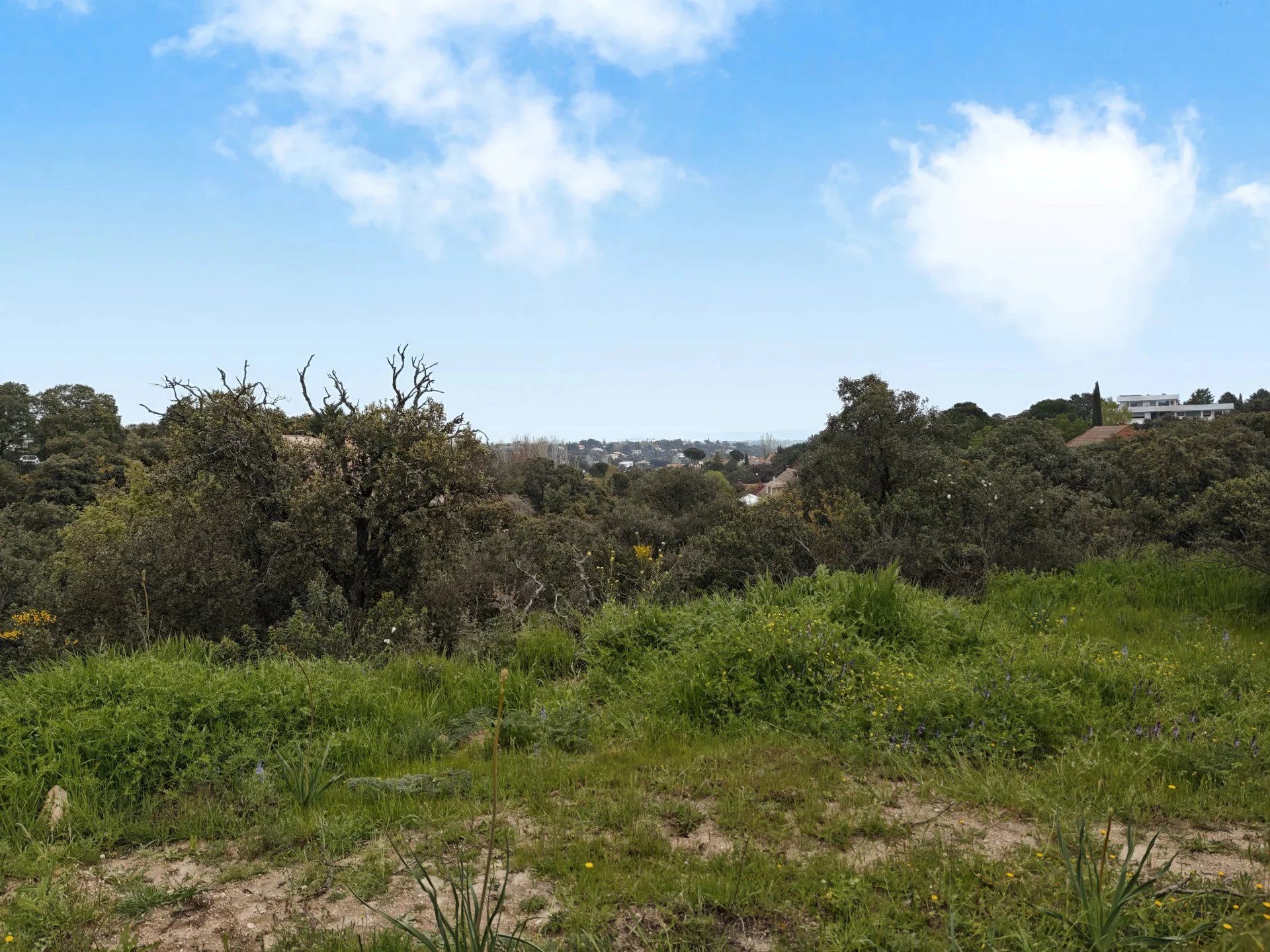 Vente Terrain Ciudalcampo