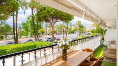 CANNES - PORT CANTO — photo 2 of 7