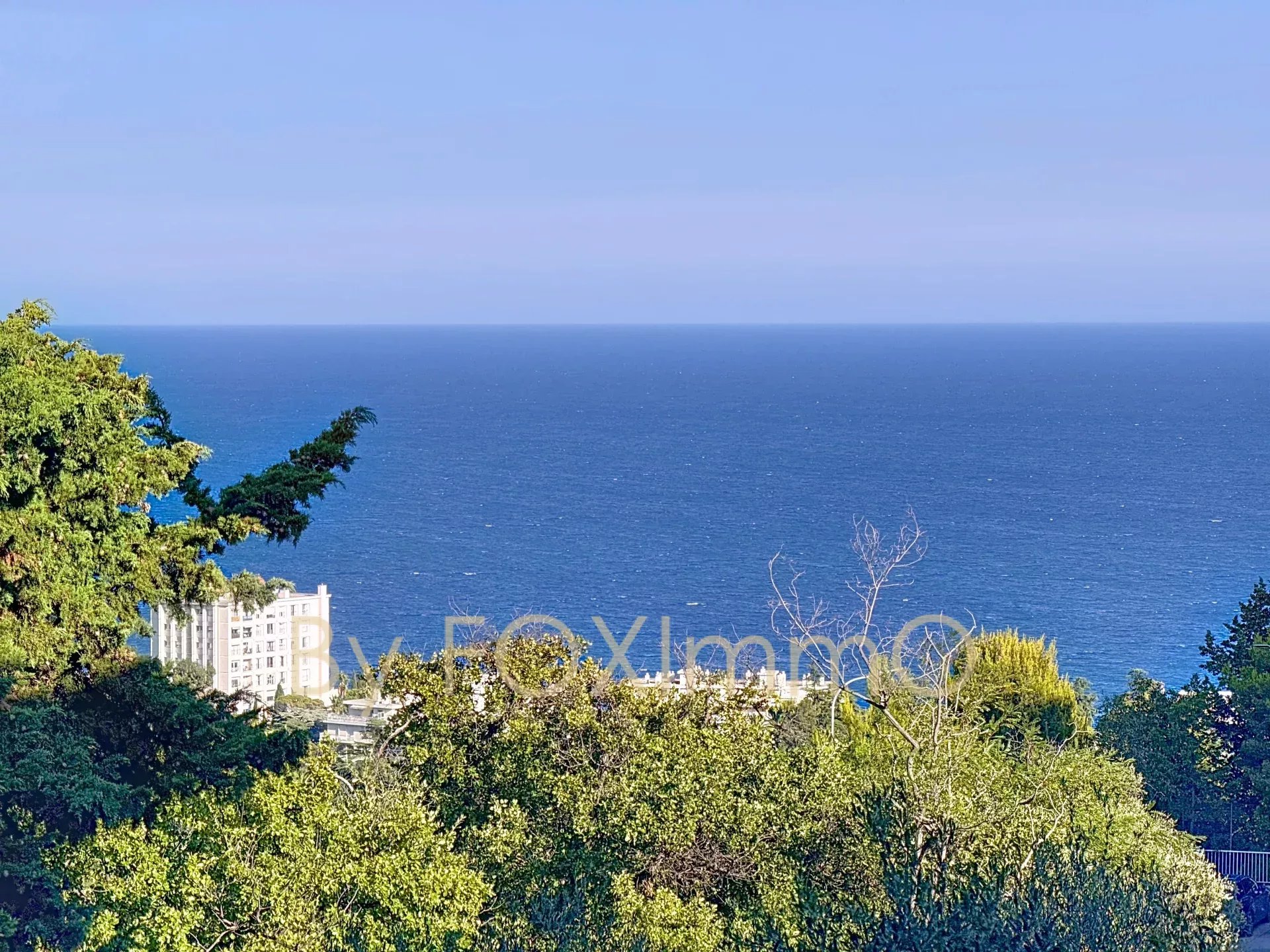 Agence immobilière de Foximmo