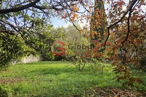 Terrain constructible ceinturé centre ville à Saint Rémy de