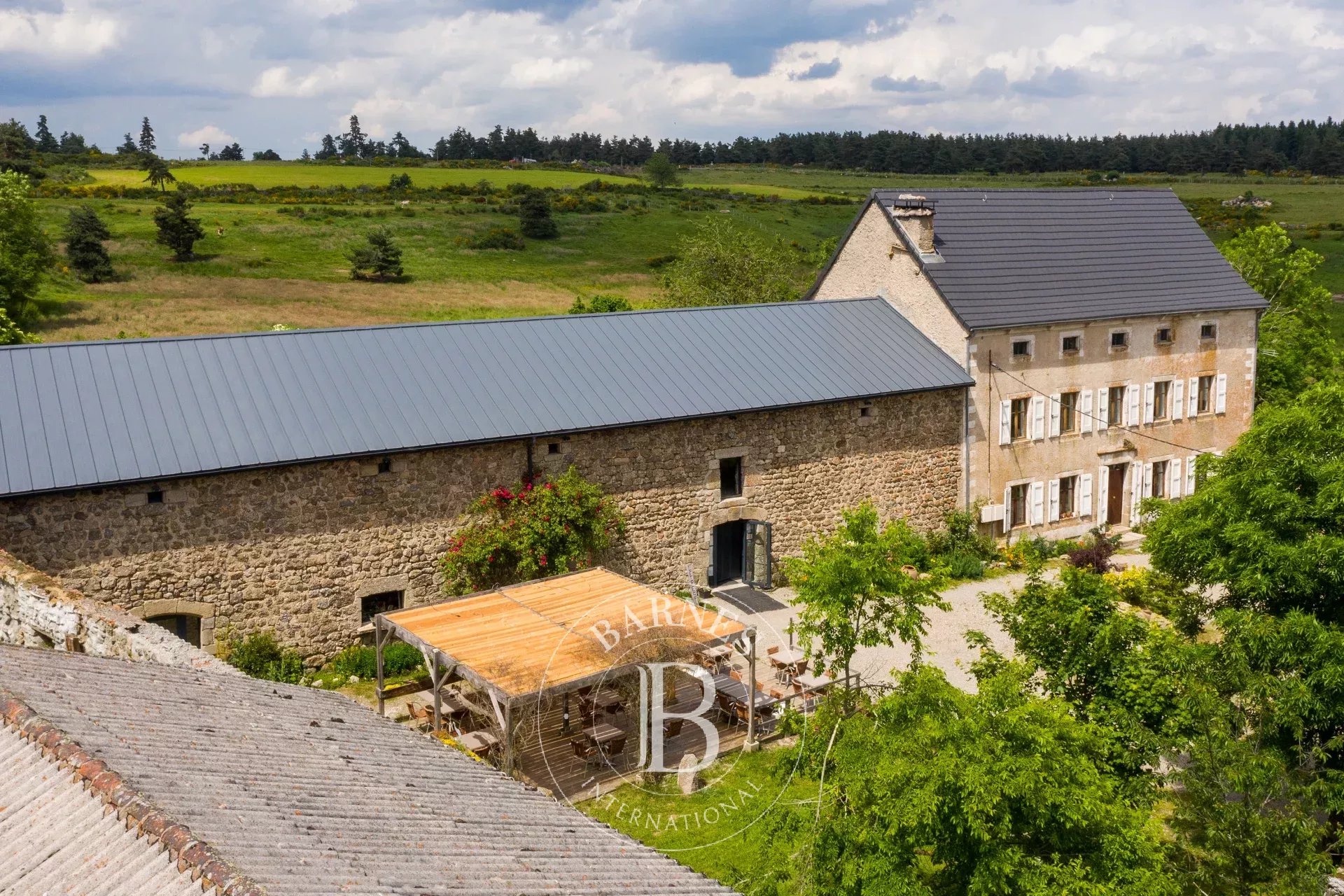 Propriété Aumont Aubrac  -  ref 85000902 (picture 3)