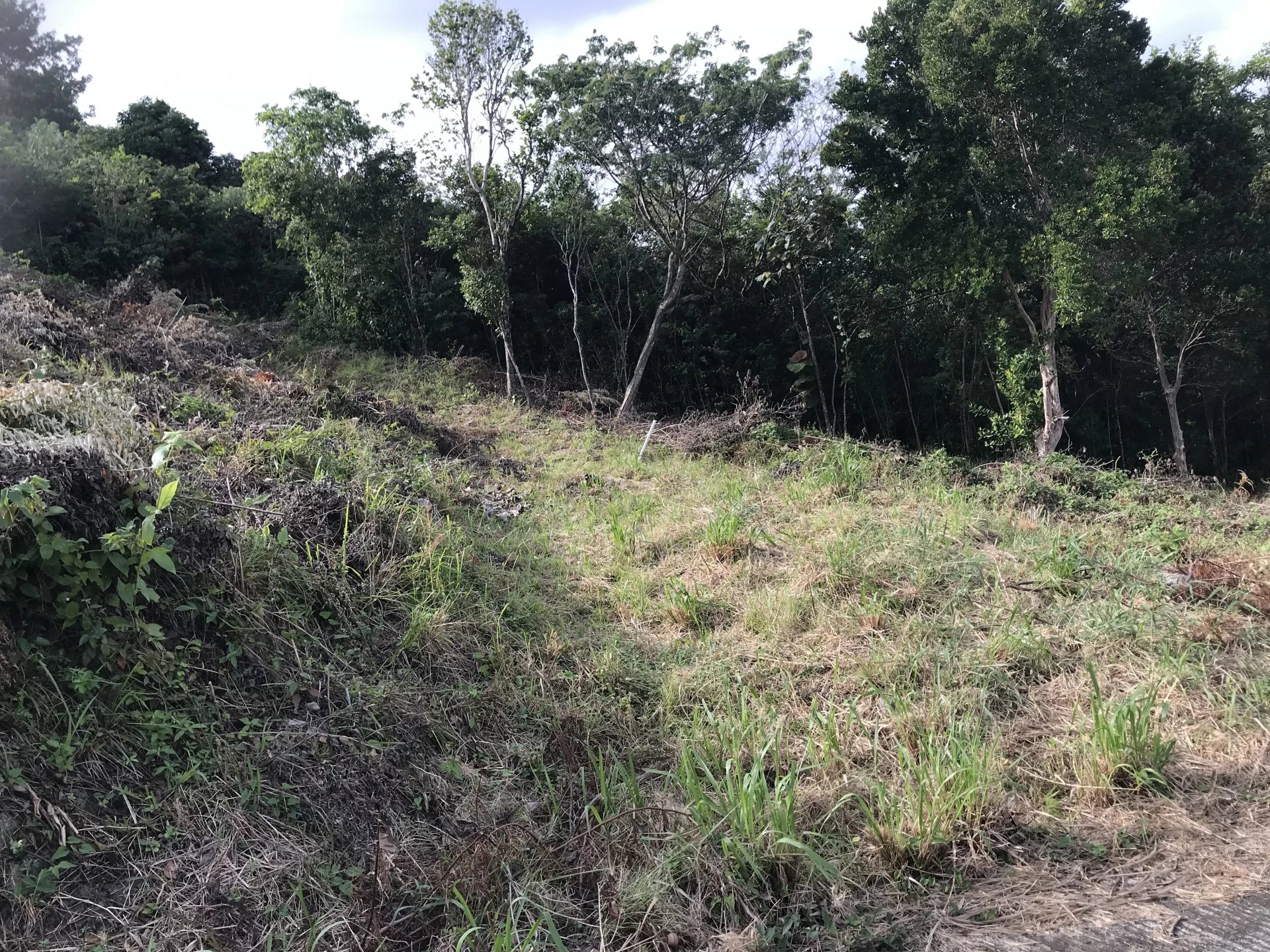 Agence immobilière de KAZA IMMO