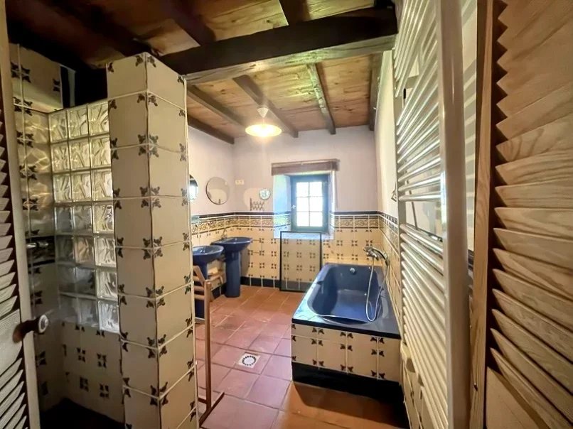 Ferme à vendre L'Isle-en-Dodon, Haute-Garonne