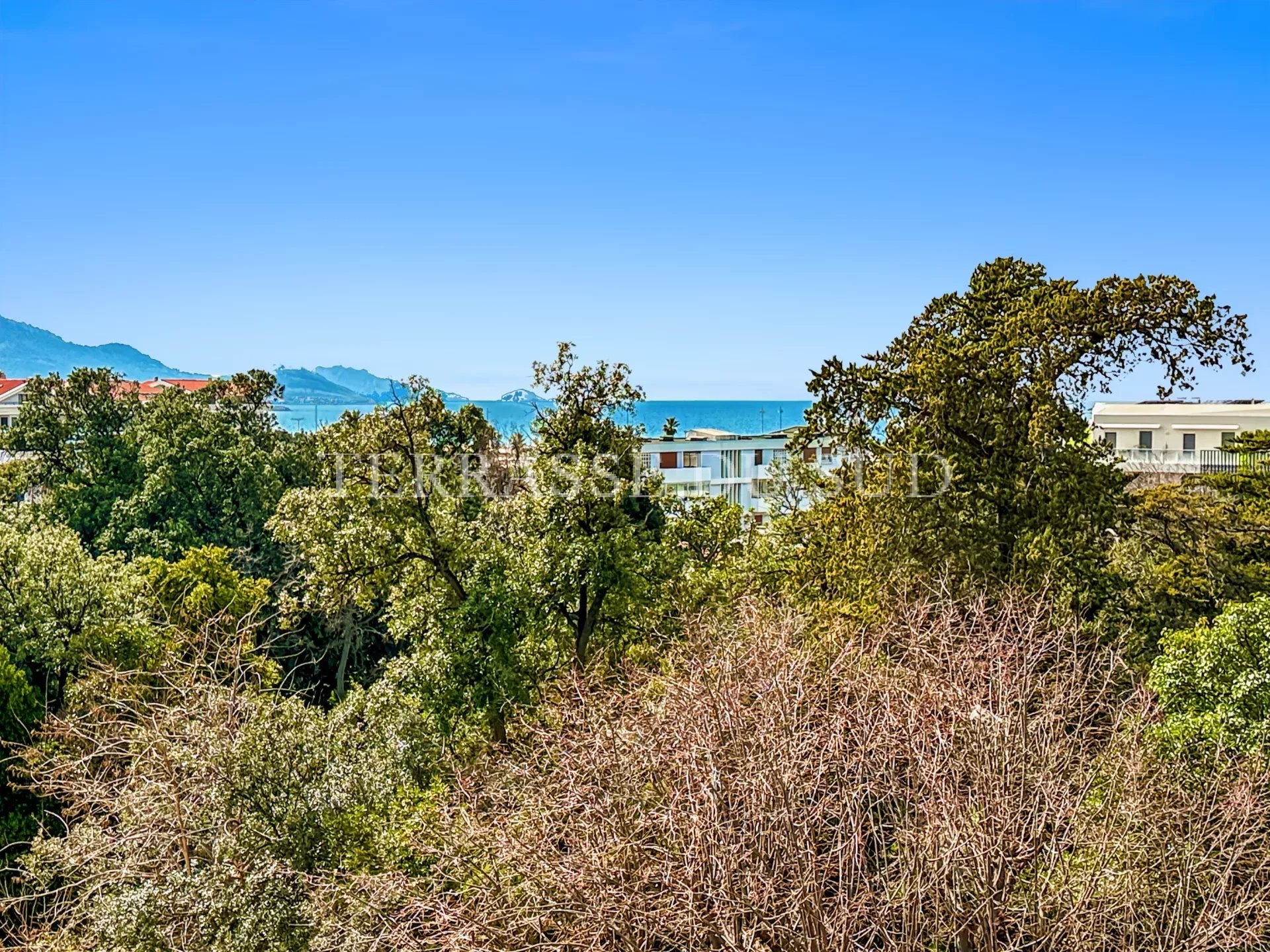 Agence immobilière de Terrasse du Sud
