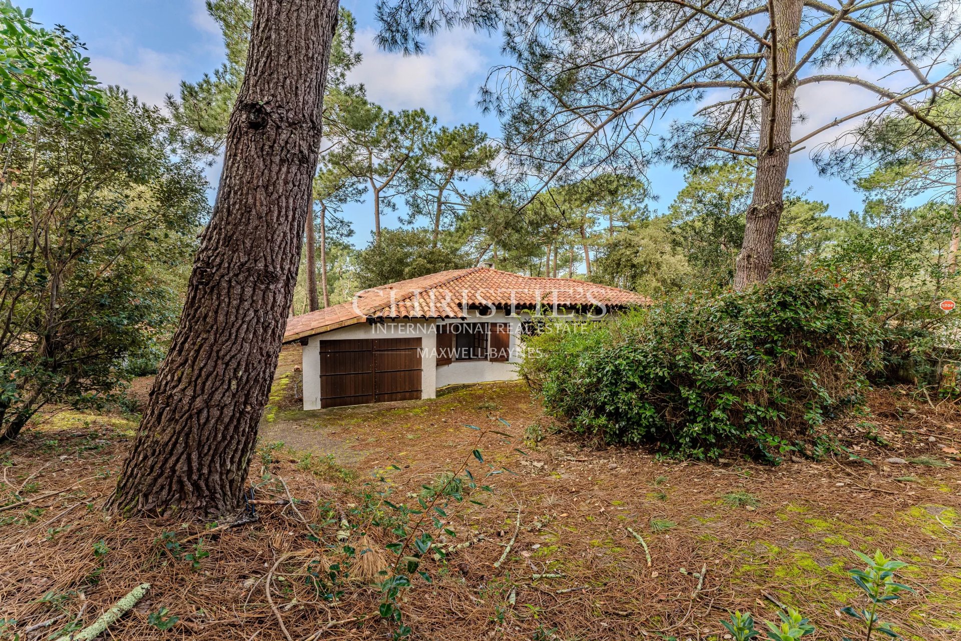Property Slider Image