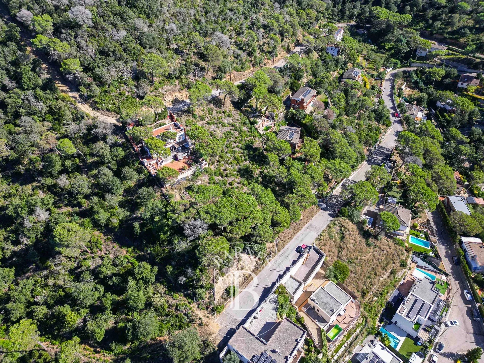 Arazi Dosríus - picture 29