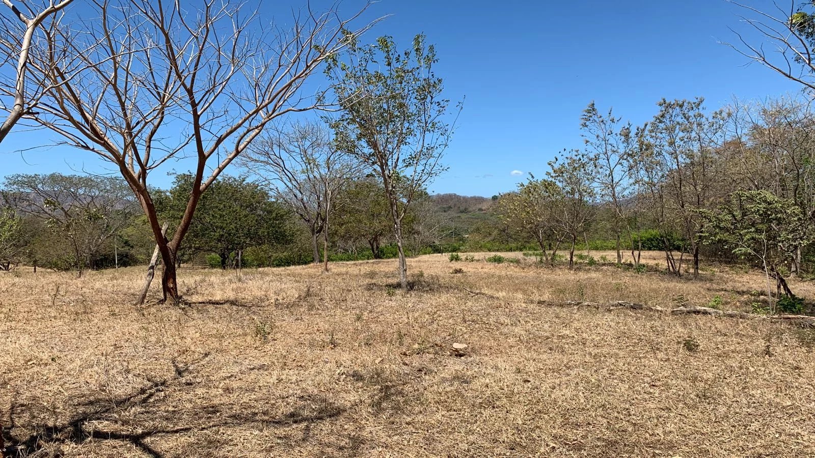 Lot n° 12 viabilisé projet résidentiel à San Pedro avec vue sur les montagnes