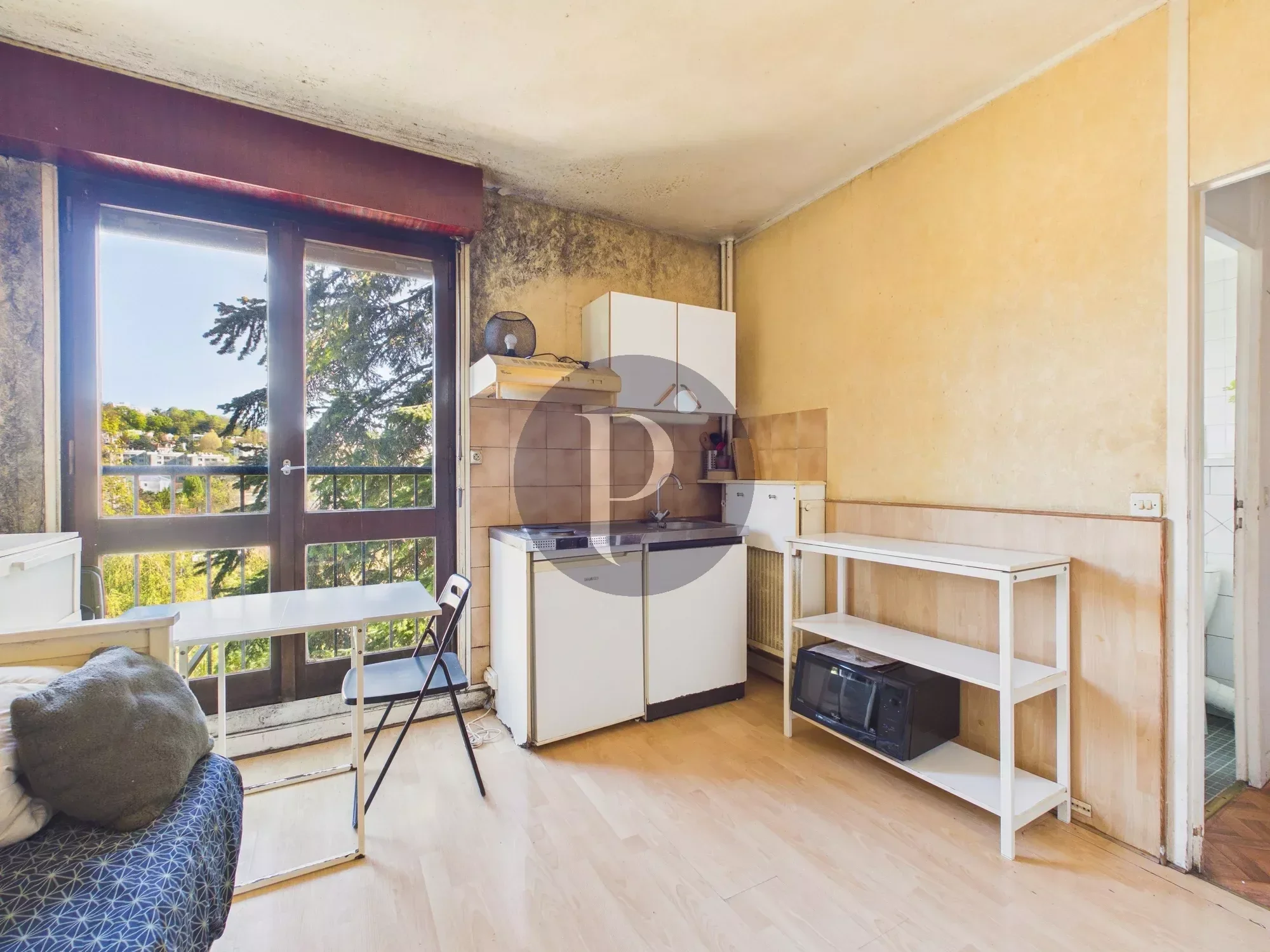 vente-appartement-1-piece-le-plessis-robinson-86617389