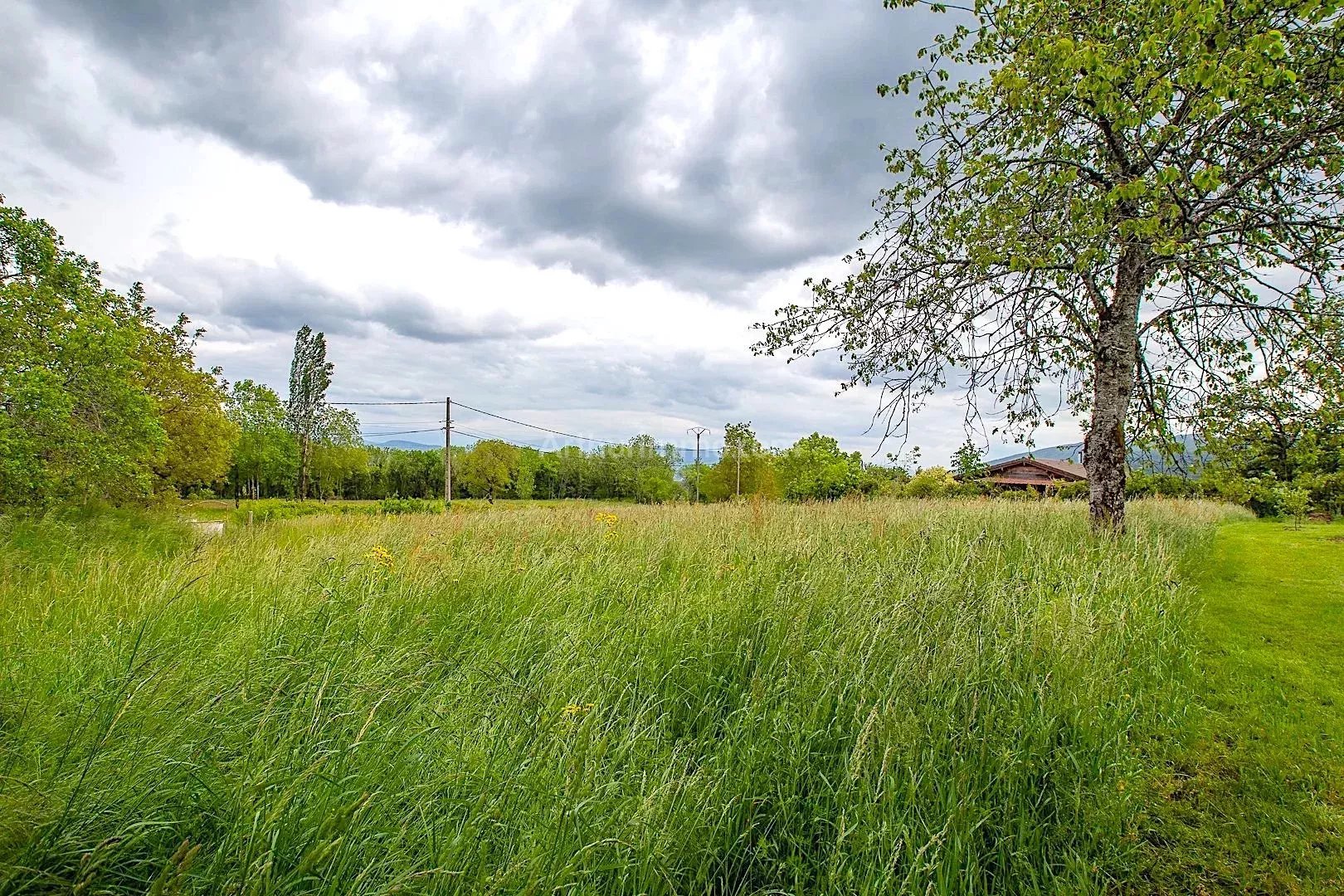 Agence immobilière de SARL AS IMMOBILIER