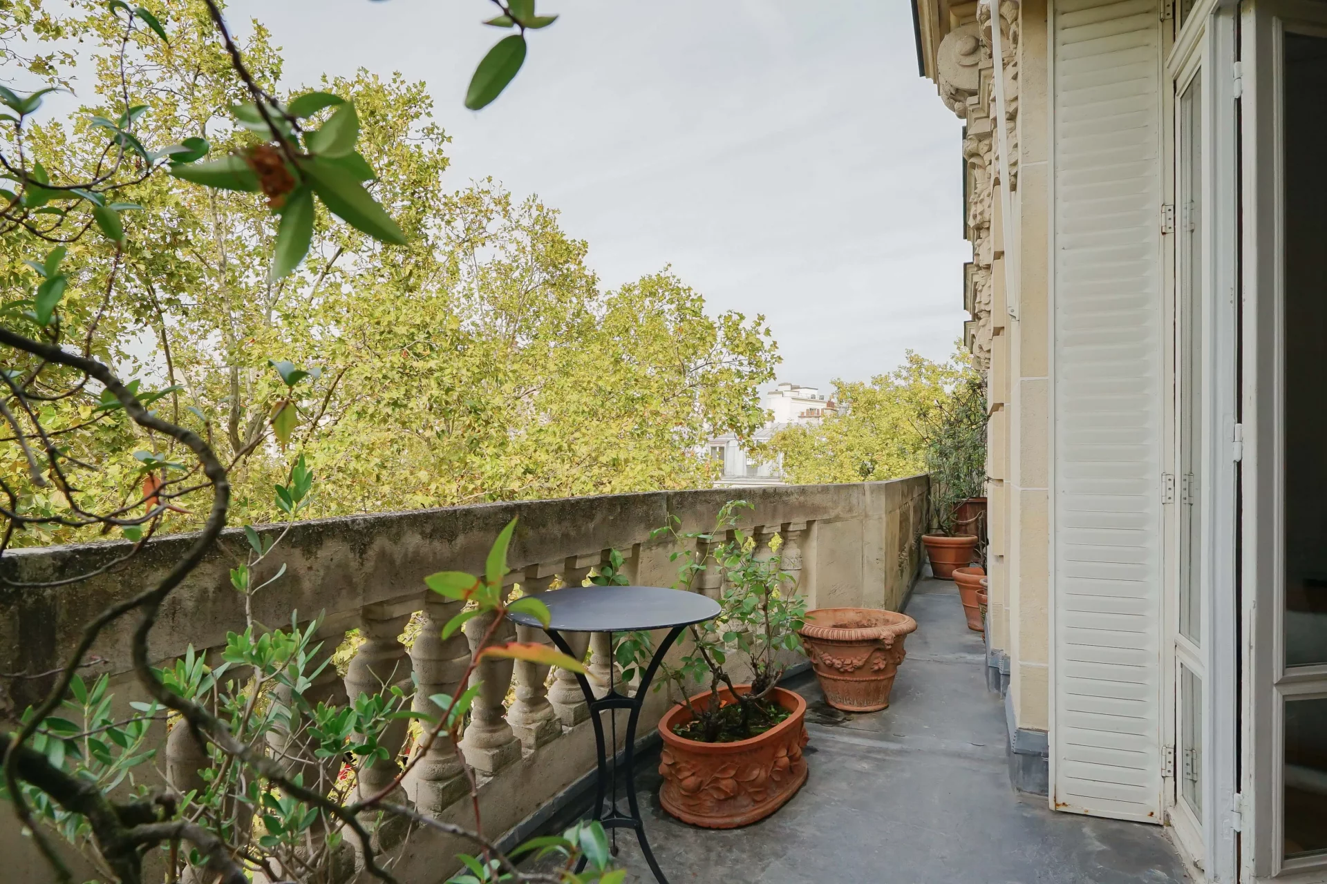 Paris 7e - CHAMP DE MARS