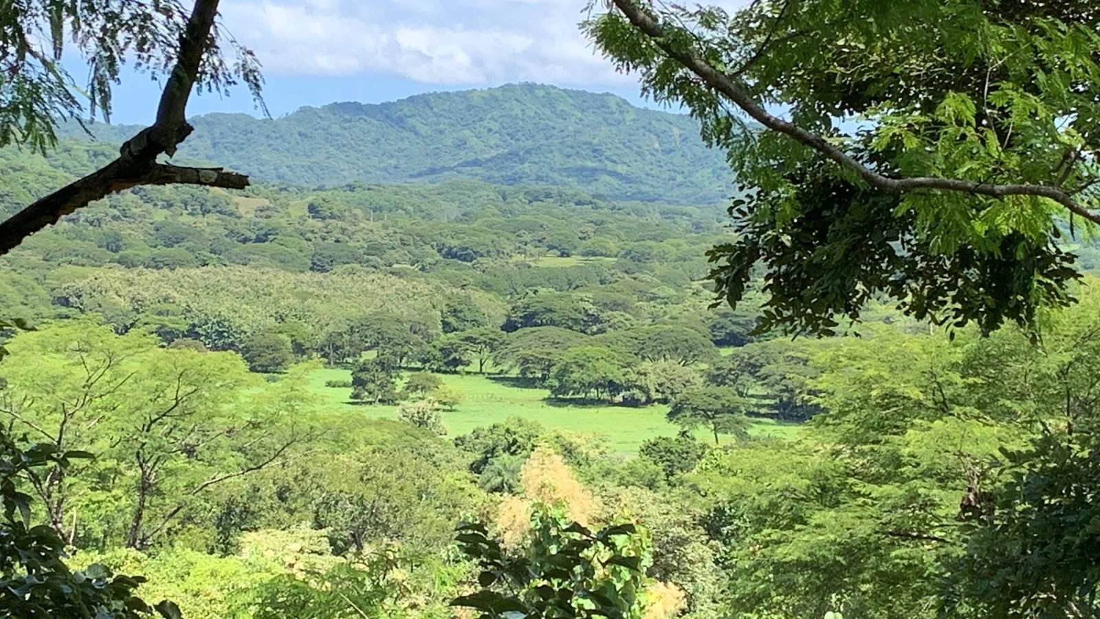 Propriété de 5 500 m2 avec vue splendide sur les montagnes, à vendre à Lorena, Guanacaste, Costa Rica