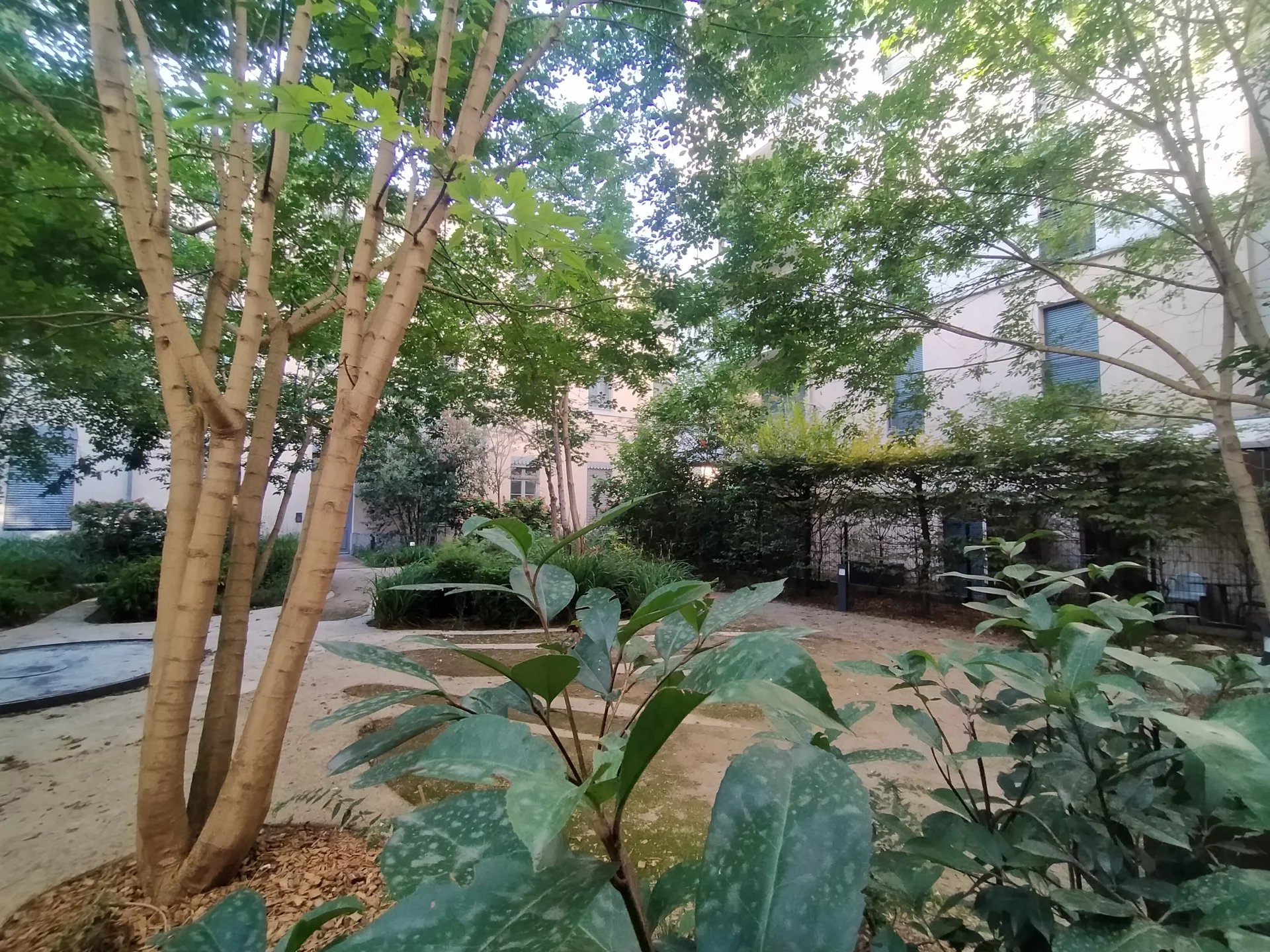 3208623 Location Lyon 2ème