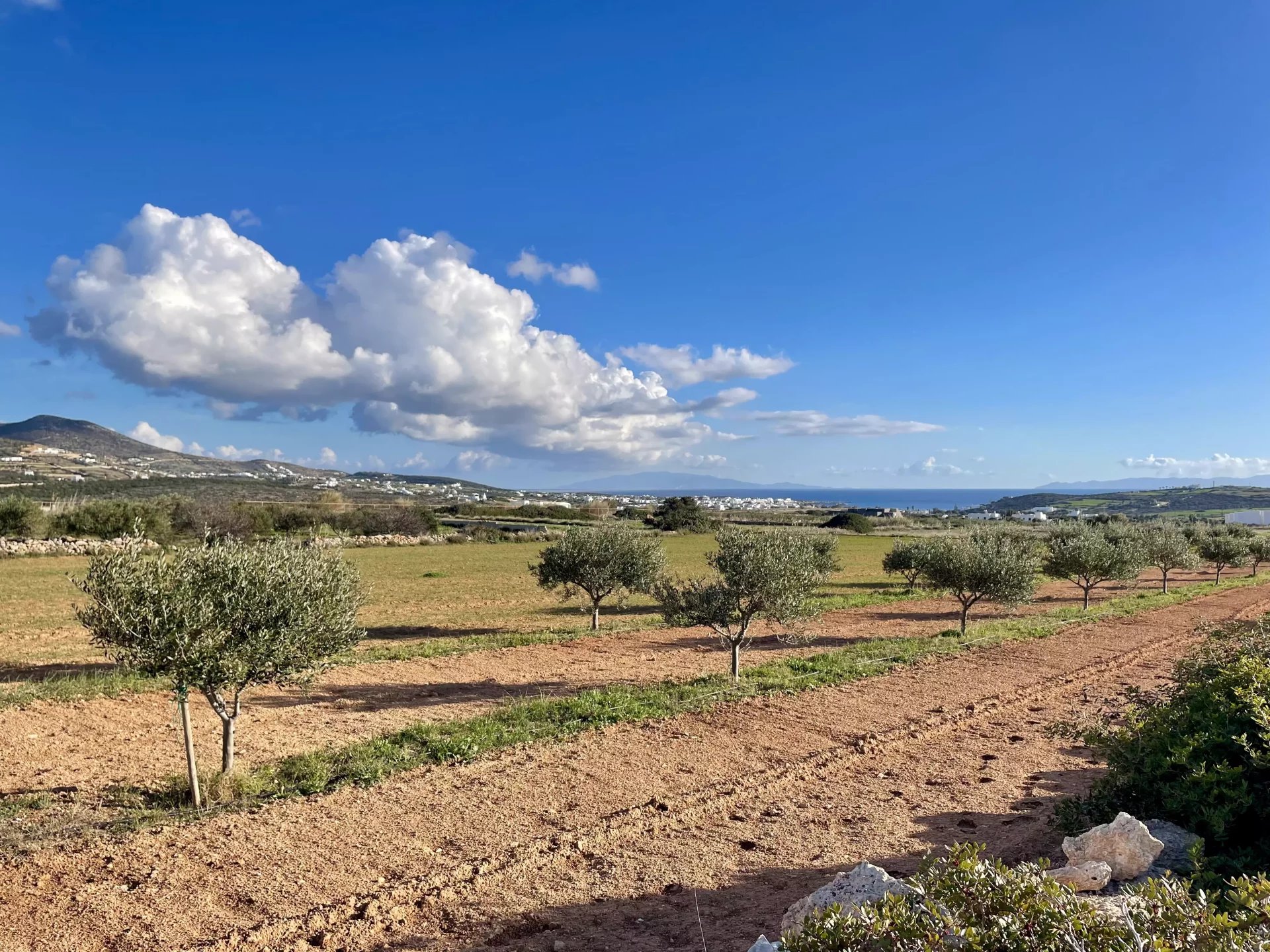 Εικόνα ιδιοκτησίας 8