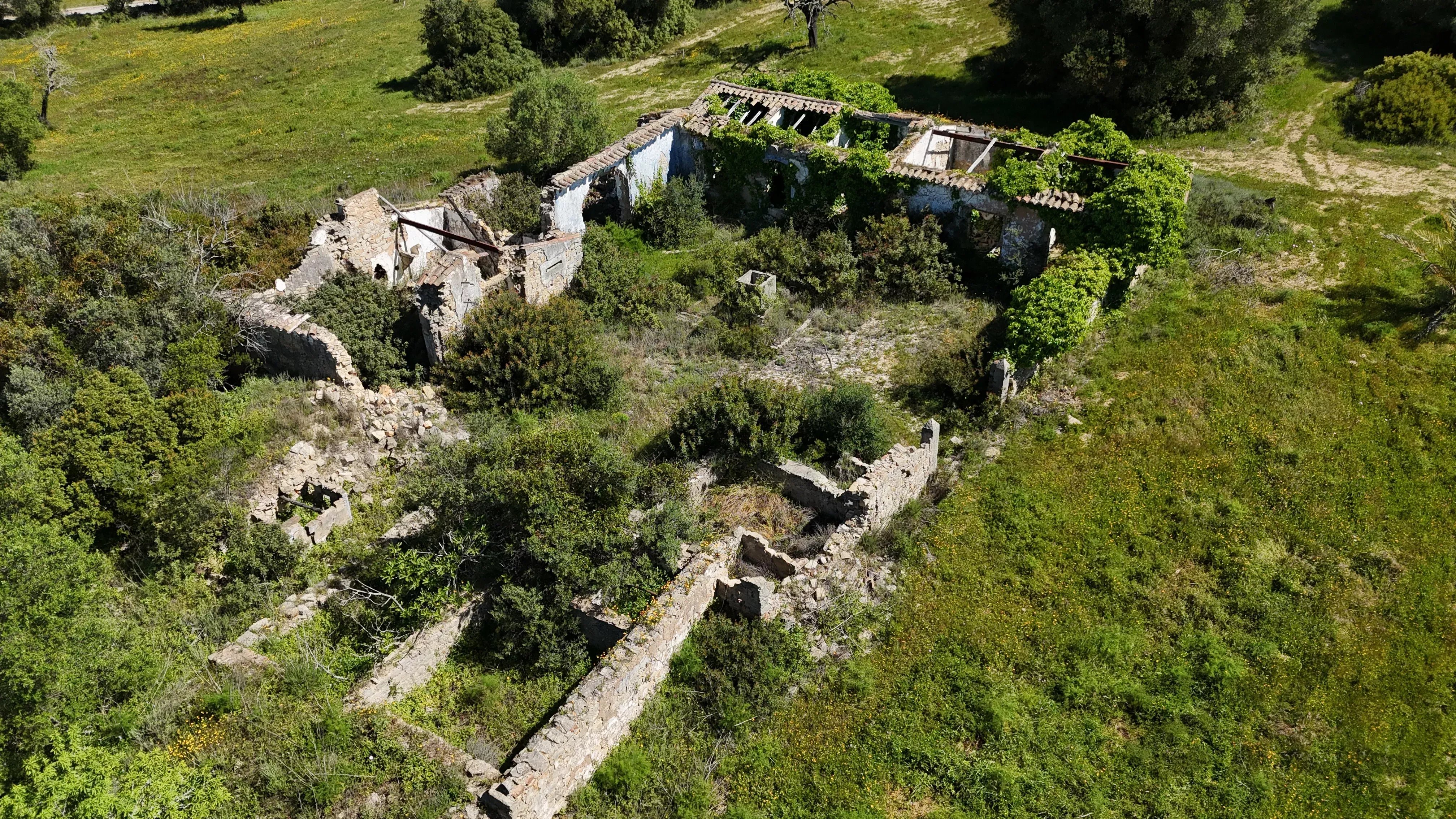 Ruins with Approved Project | 750m² of Construction | 39,960m² of Land | Santa Bárbara de Nexe 86965238 image 5