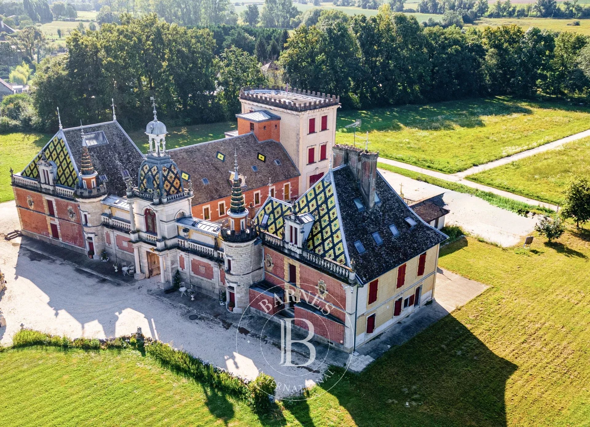 Beaune  - Château  - picture 8