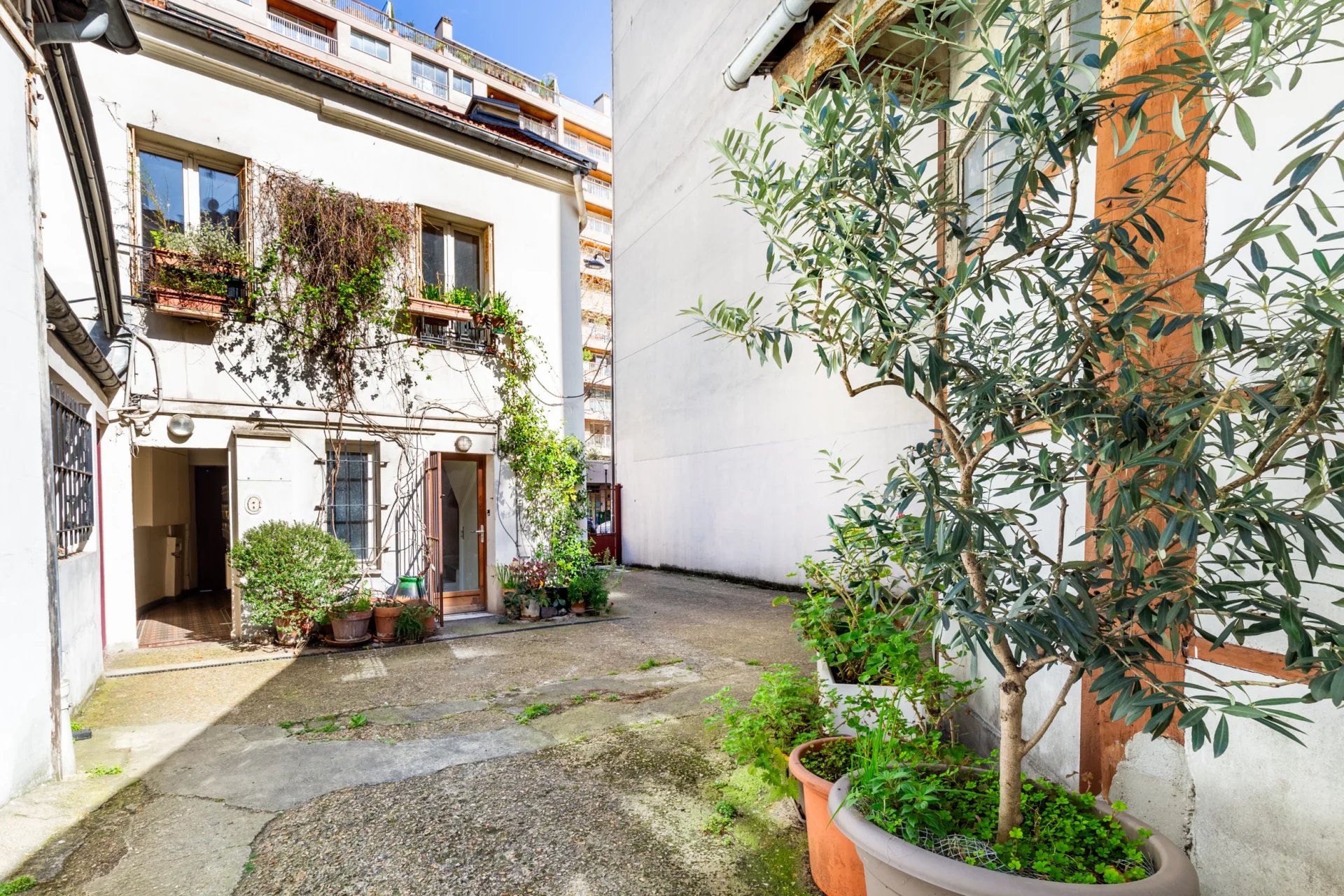 Photo 8 du bien N°86868342