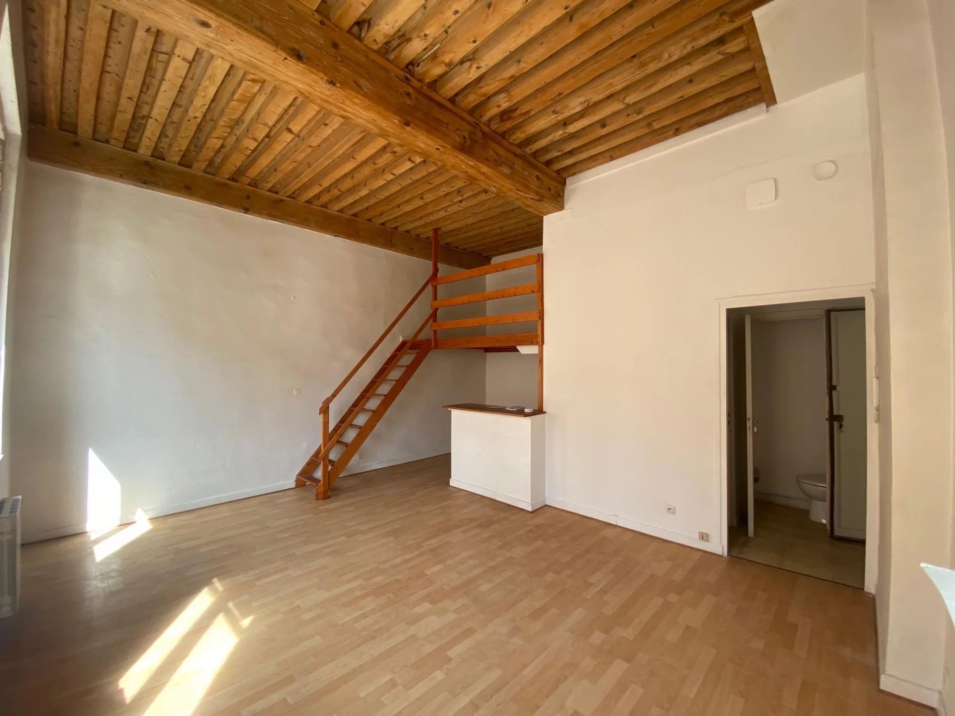 Vente Appartement Lyon 1er