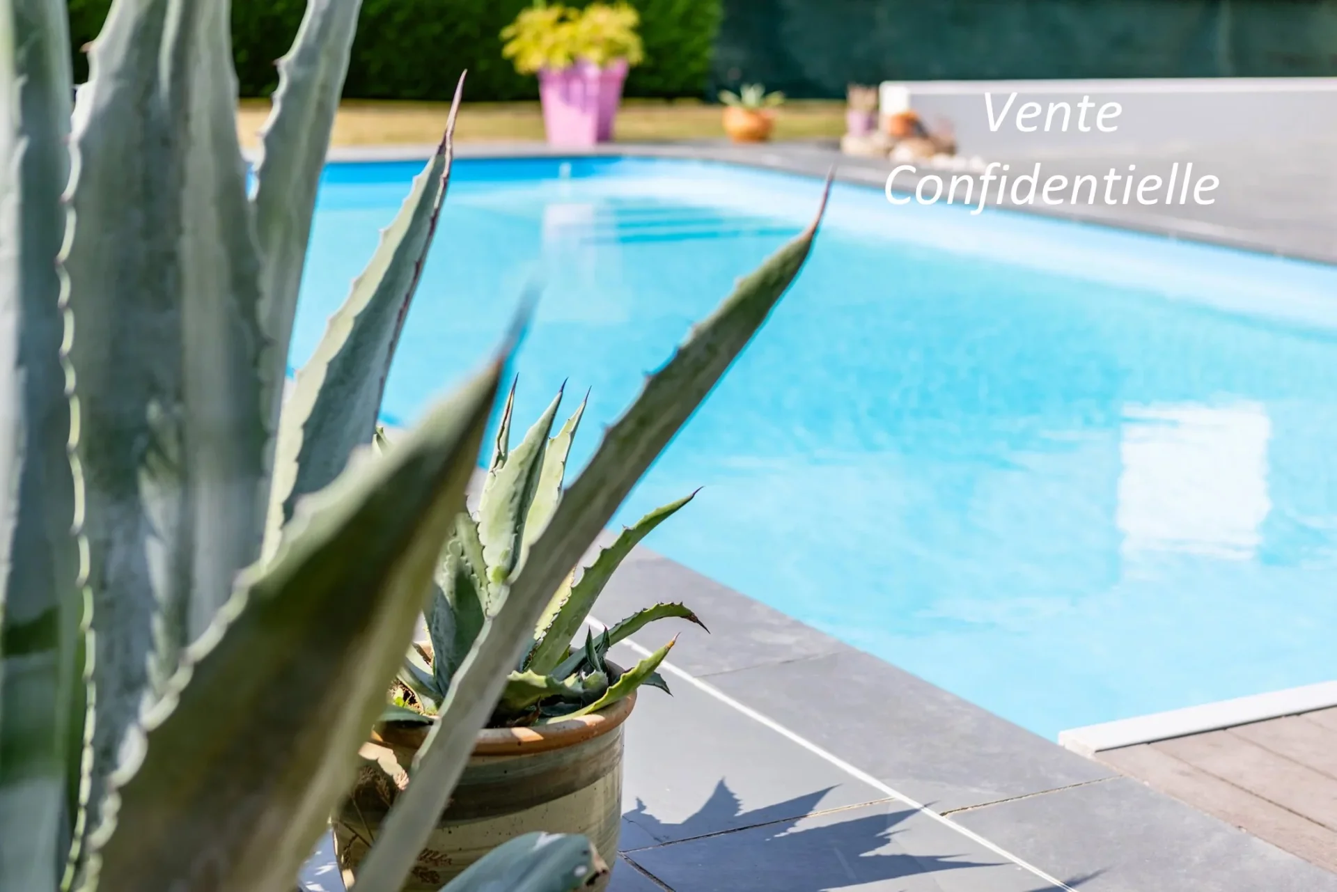 Vertou - VERTOU / LE CHÊNE