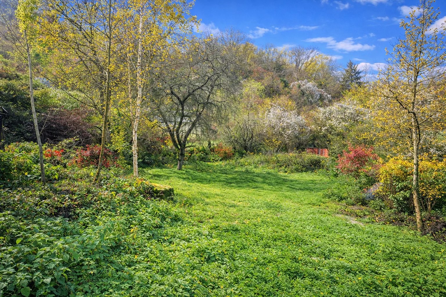 Agence immobilière de SOS Immo Sarl