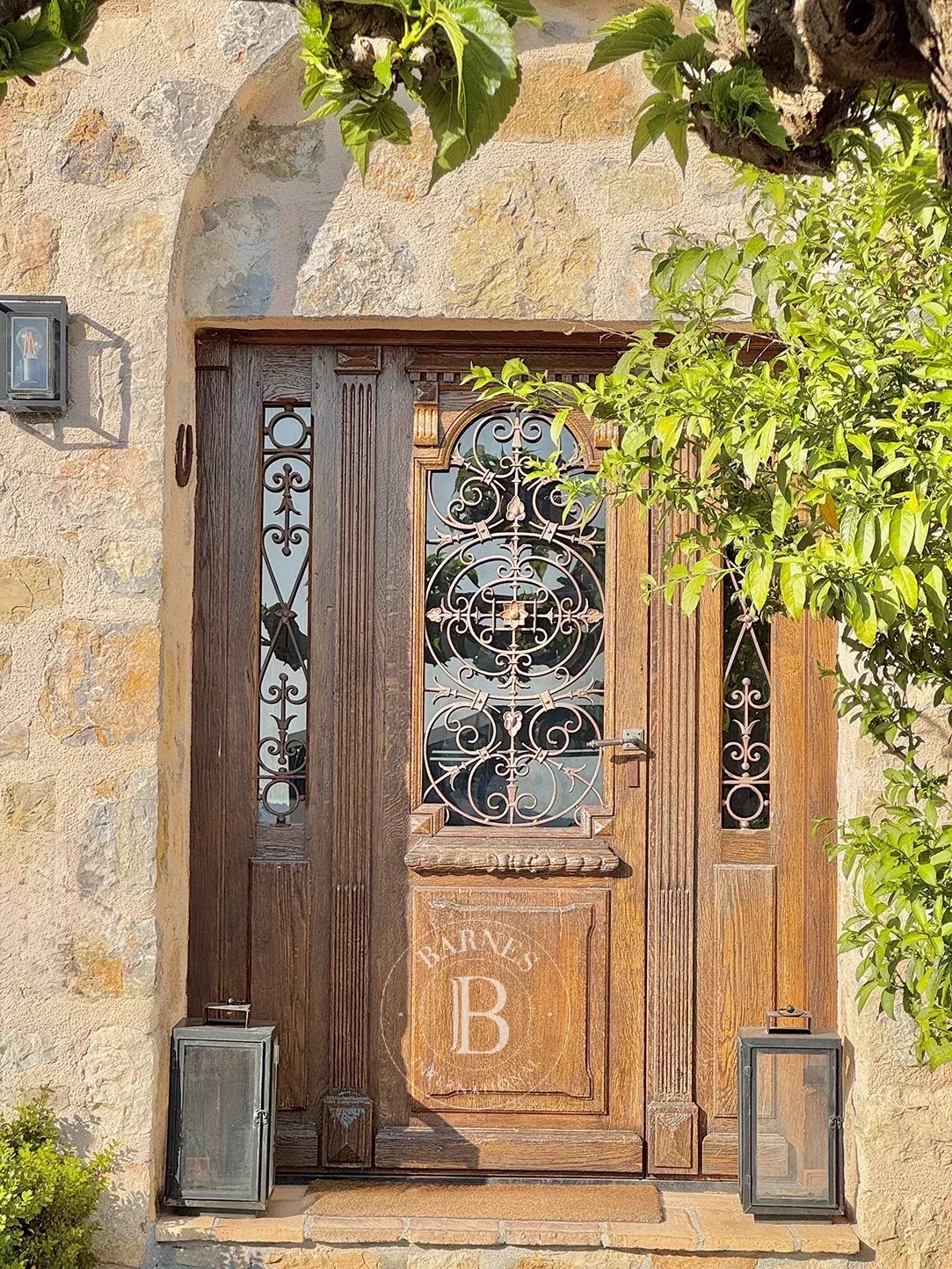 Kirevi Grasse - picture 9