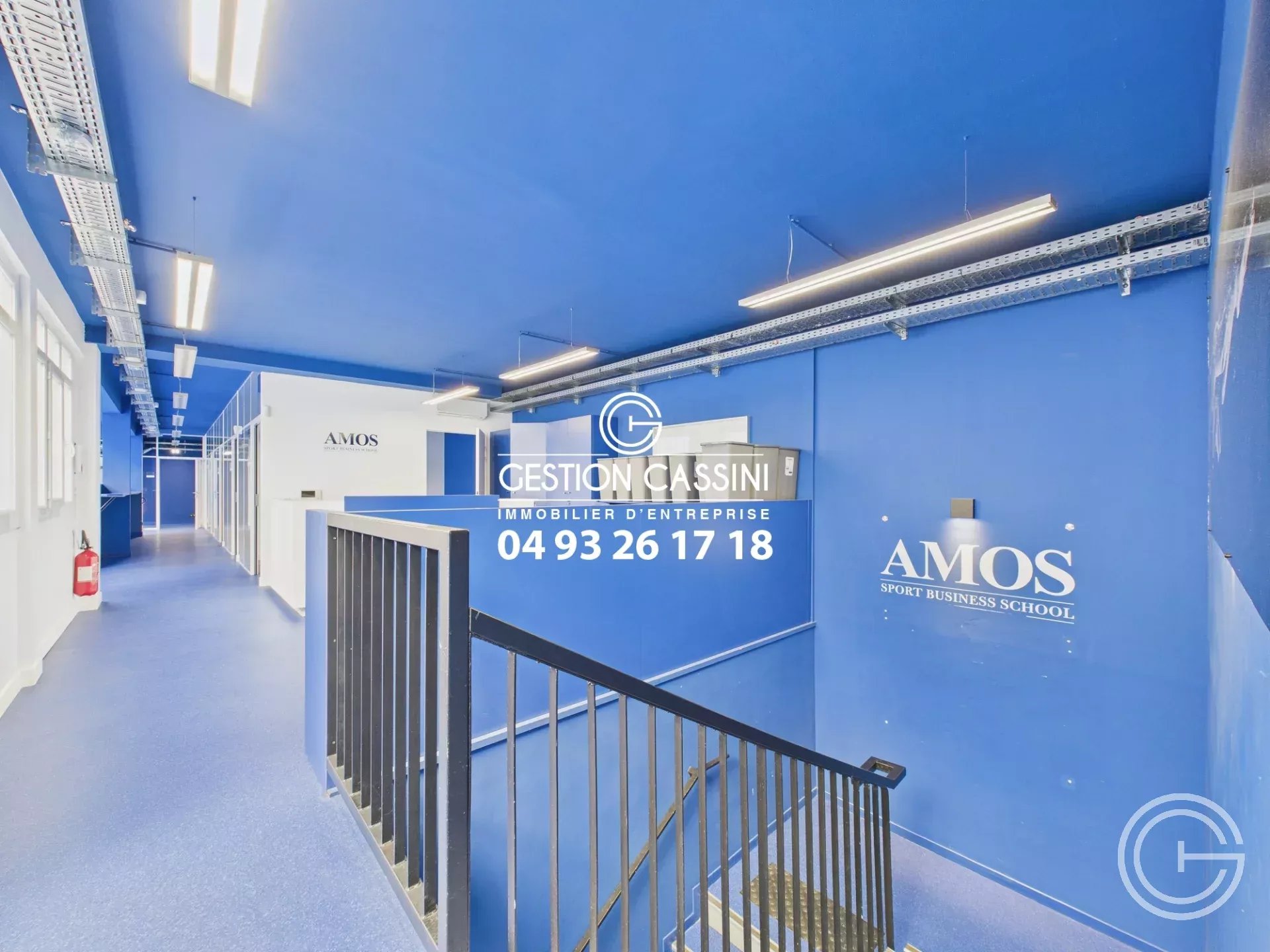 Location Local commercial Nice