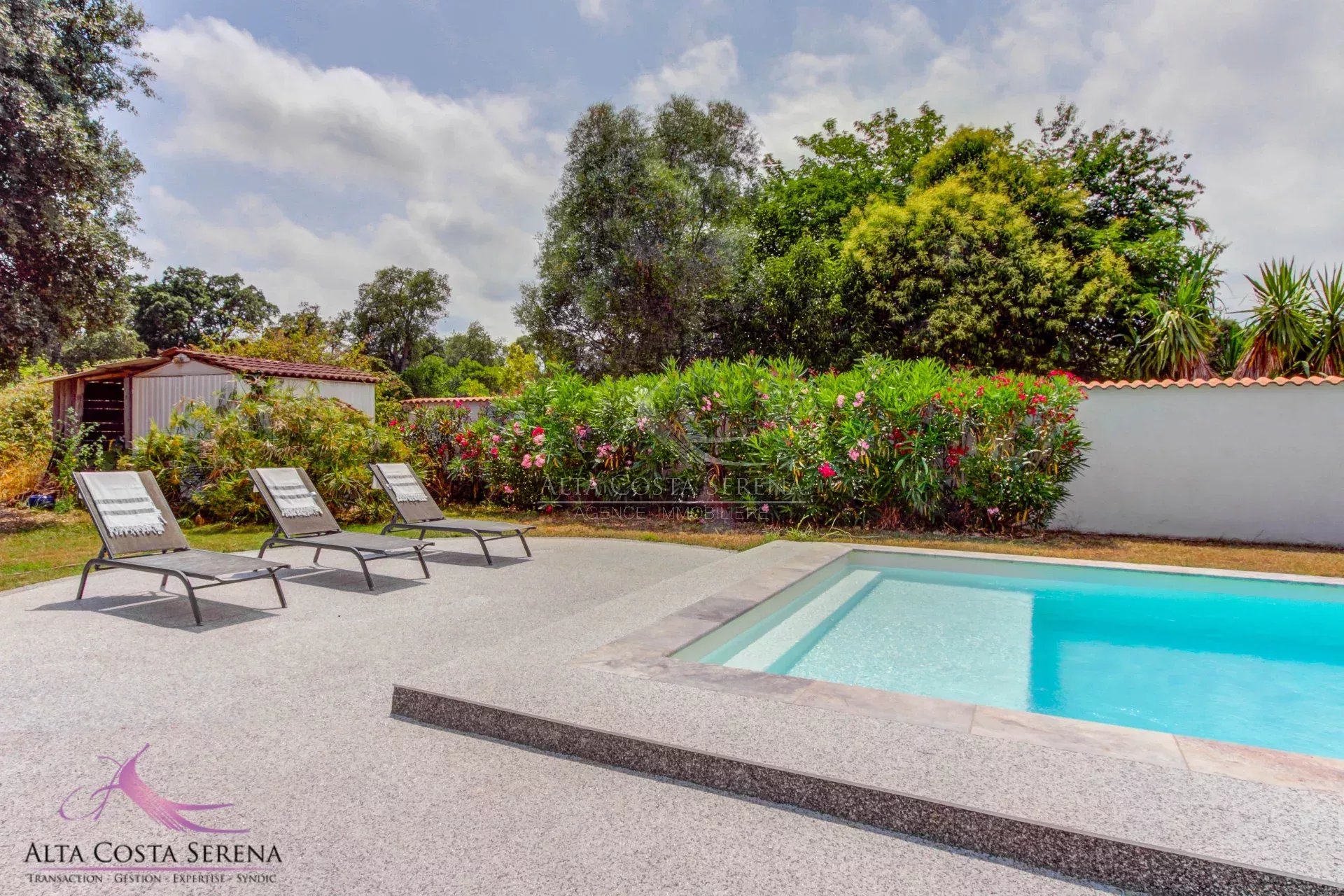 Agence immobilière de 