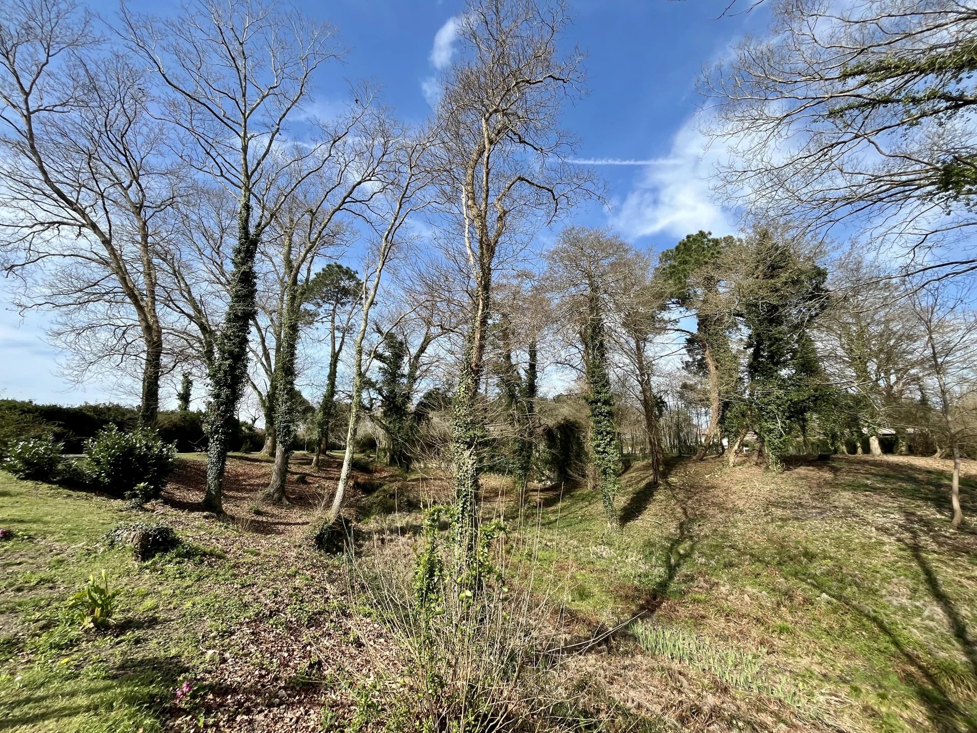 Vente Terrain constructible Saubion